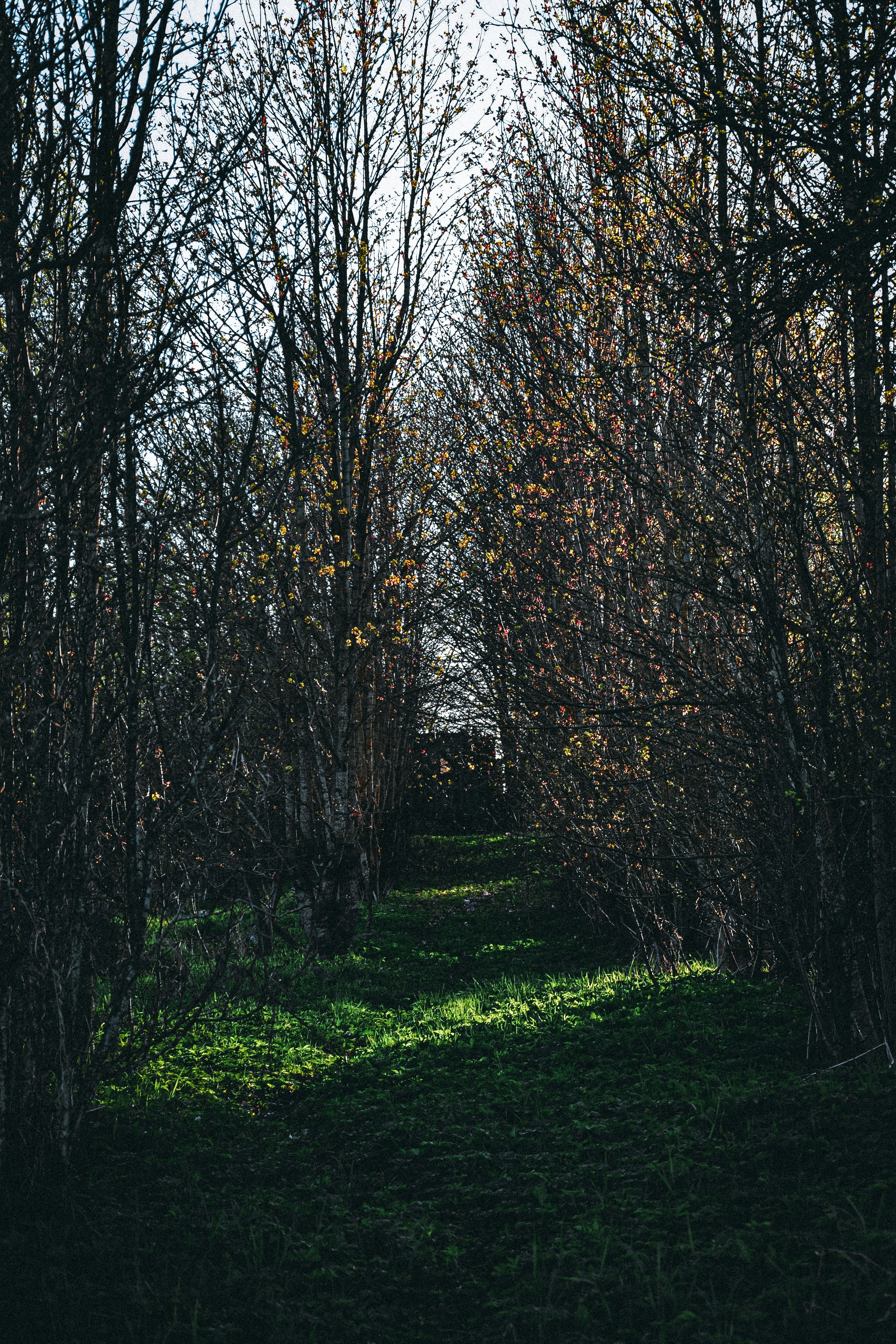 Photo by filedoesnotexist