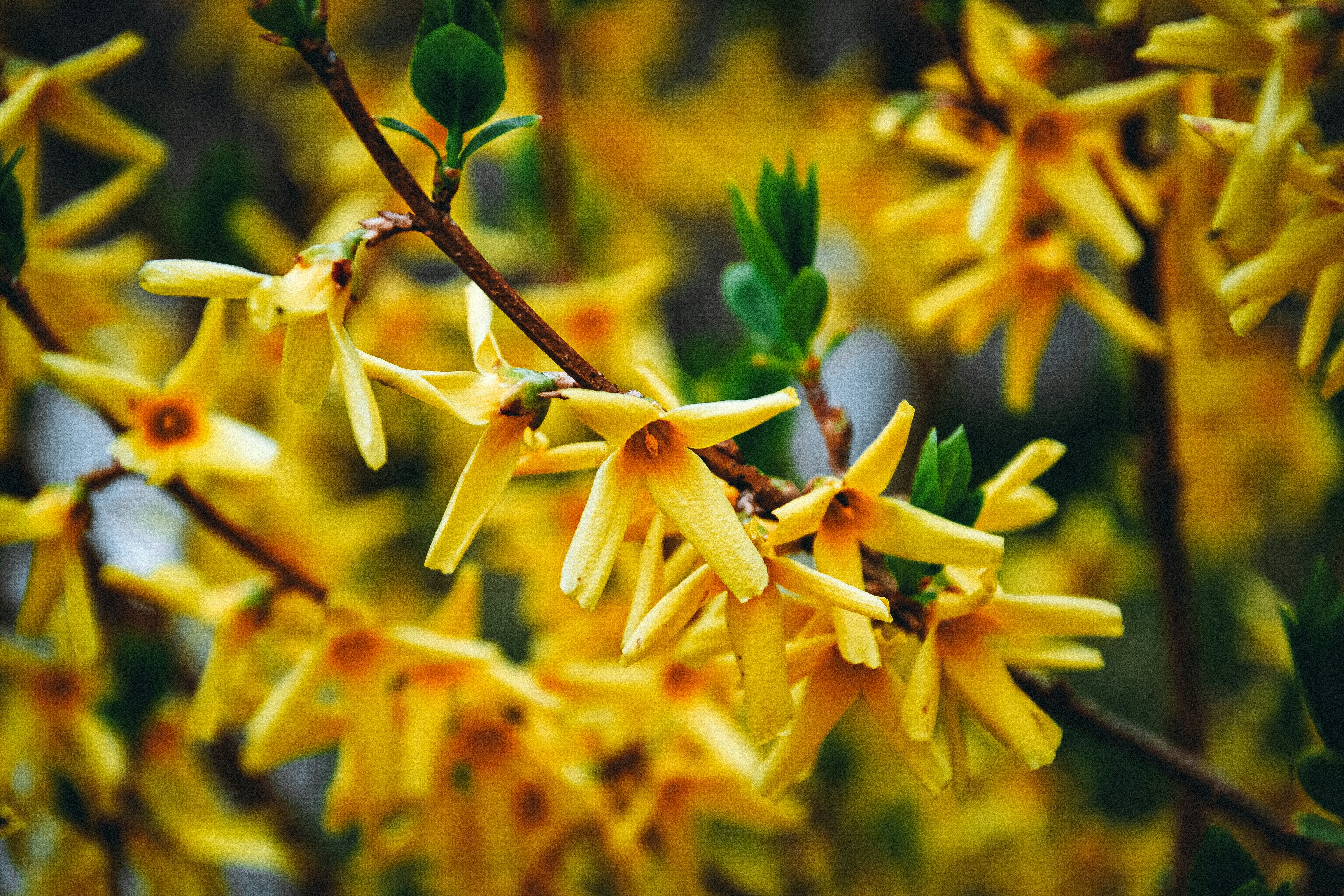 Photo by filedoesnotexist