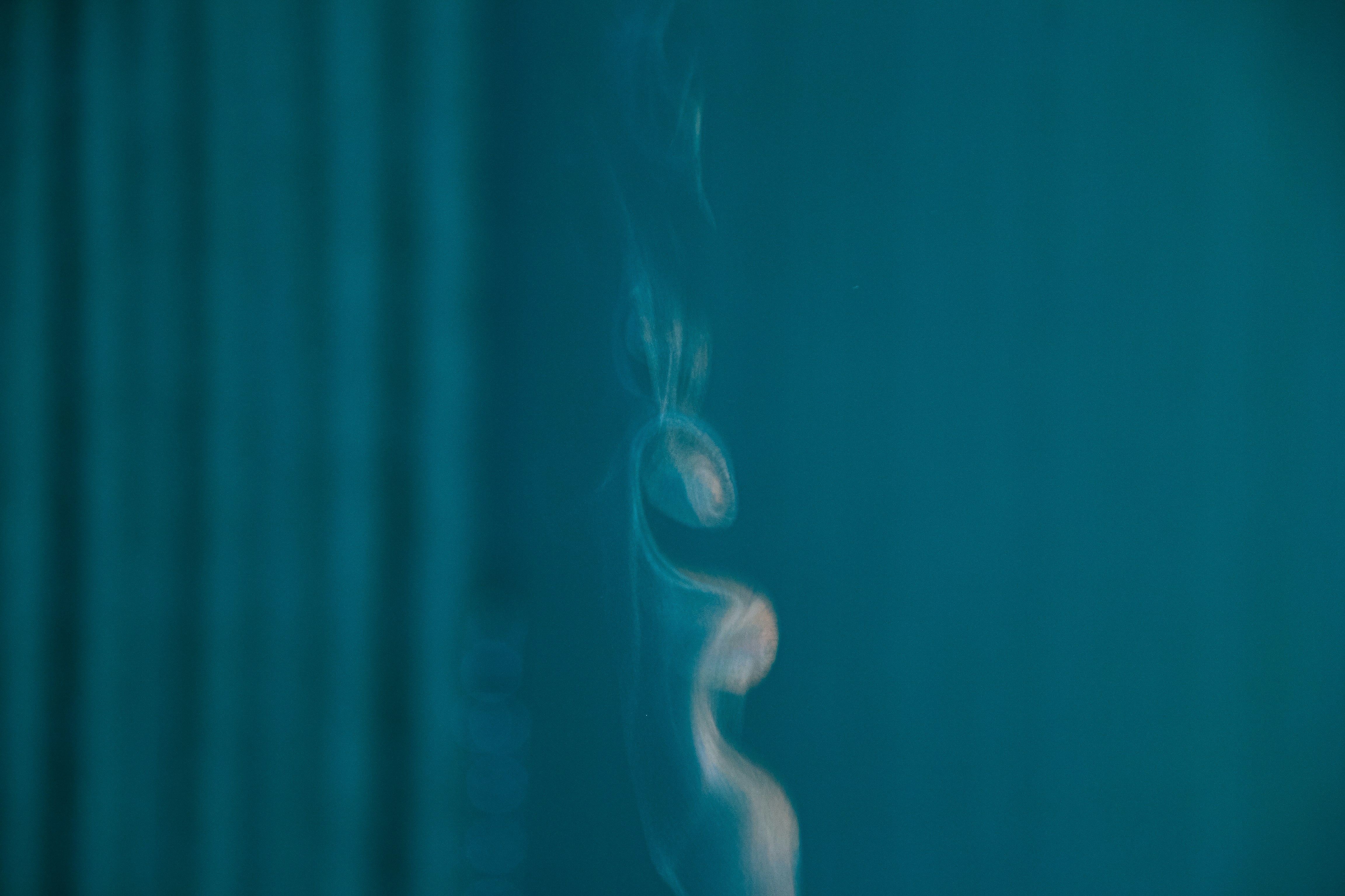 Photo by filedoesnotexist