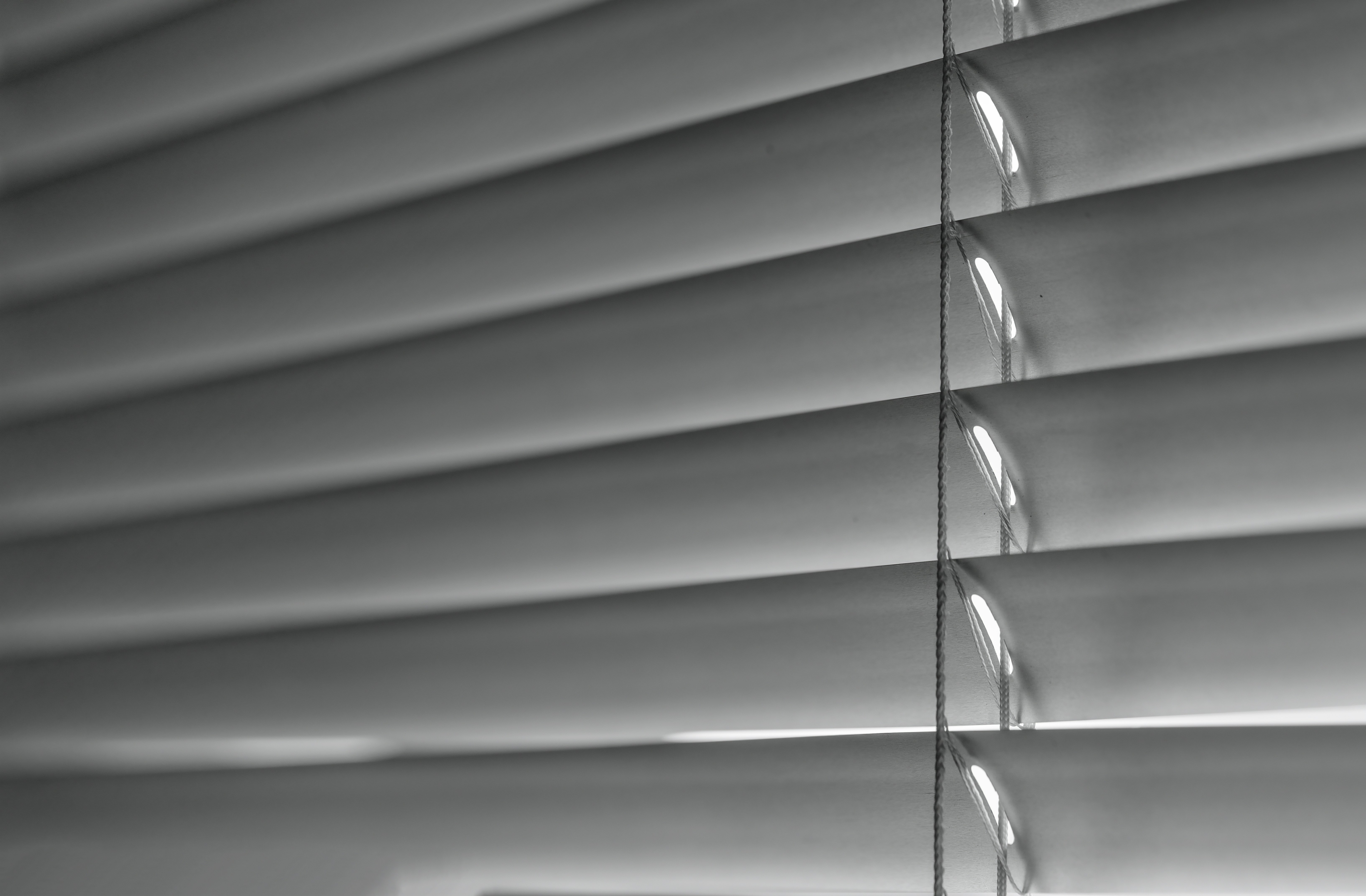 Photo by myriamzilles