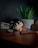 white and black panda ceramic figurine on brown wooden table