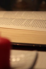 A serene open book with soft light illuminating ancient spiritual texts.