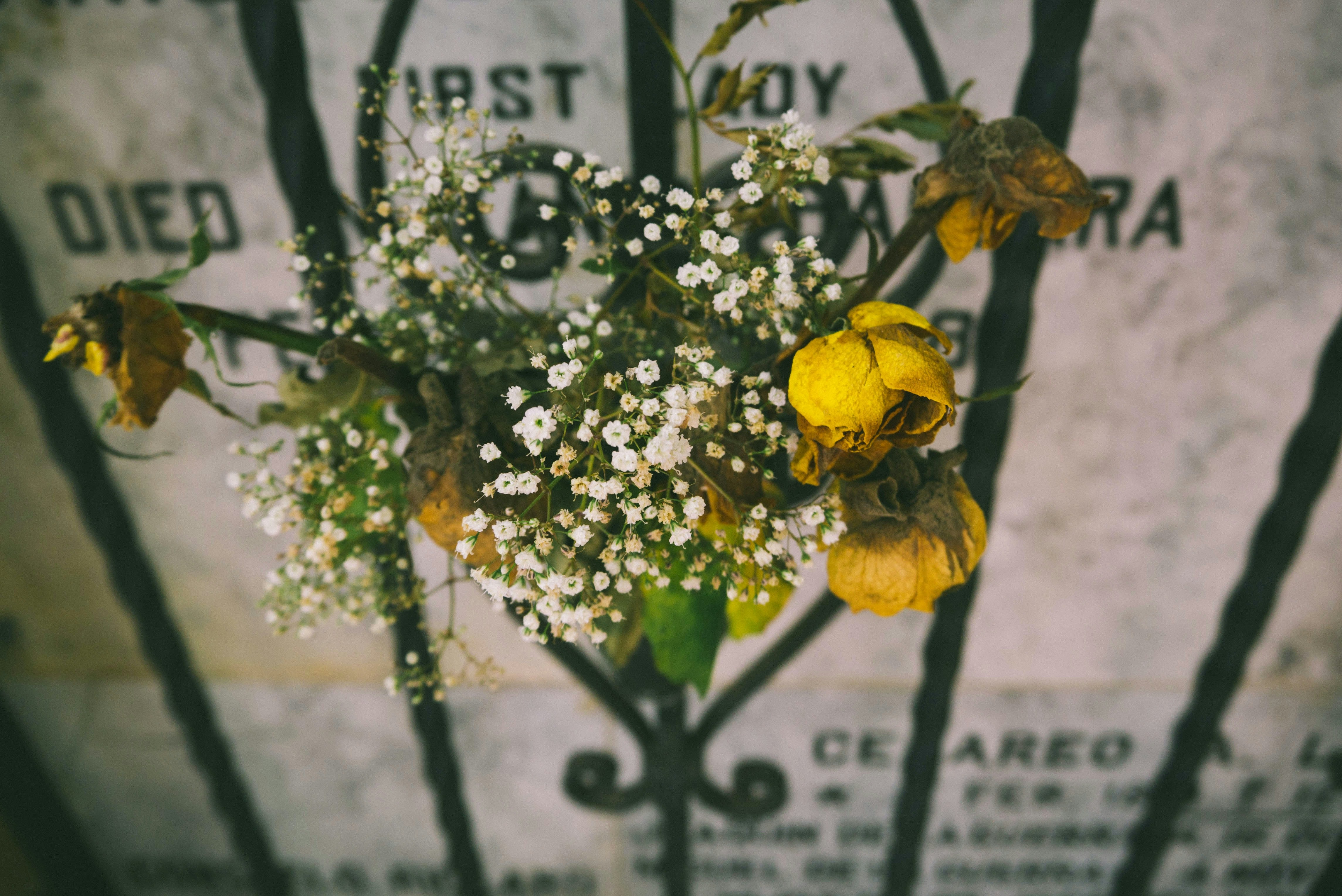 How to Write an Obituary: A Step-by-Step Guide