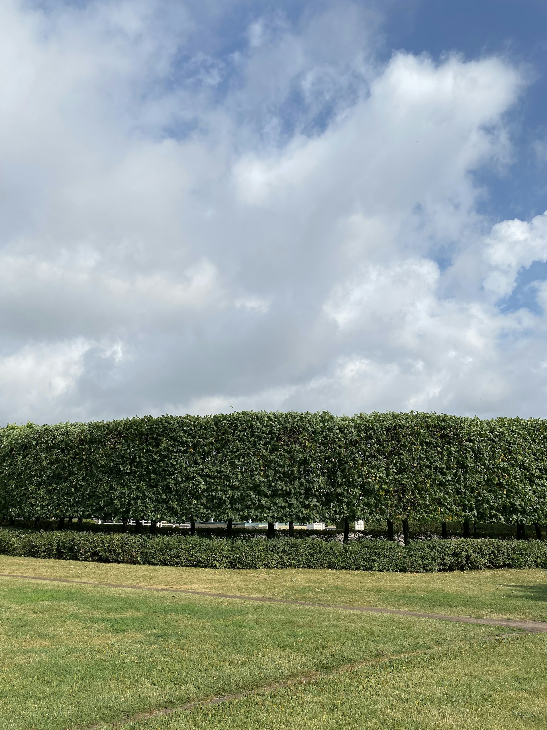 woman wearing yellow long-sleeved dress under white clouds and blue sky during daytime