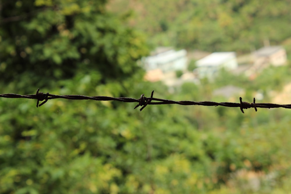 black barb wire in tilt shift lens