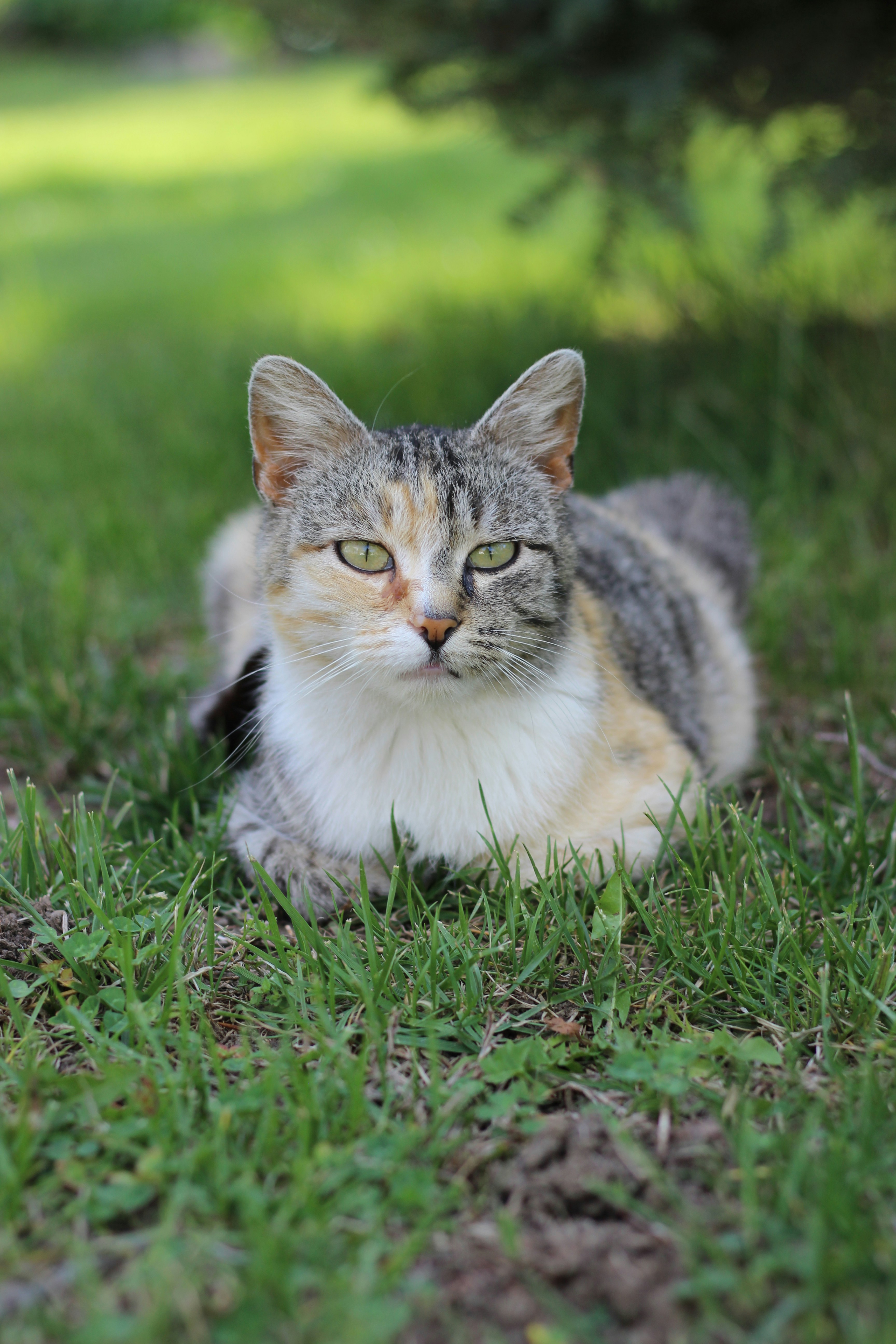 Photo by chelseakphotography