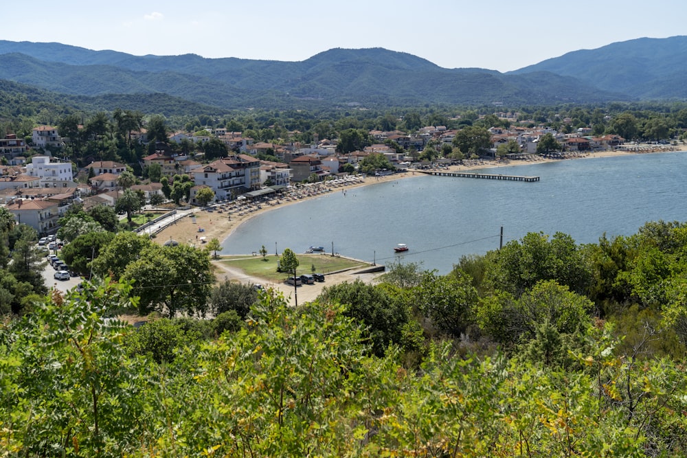 aerial view of green trees and body of water during daytime