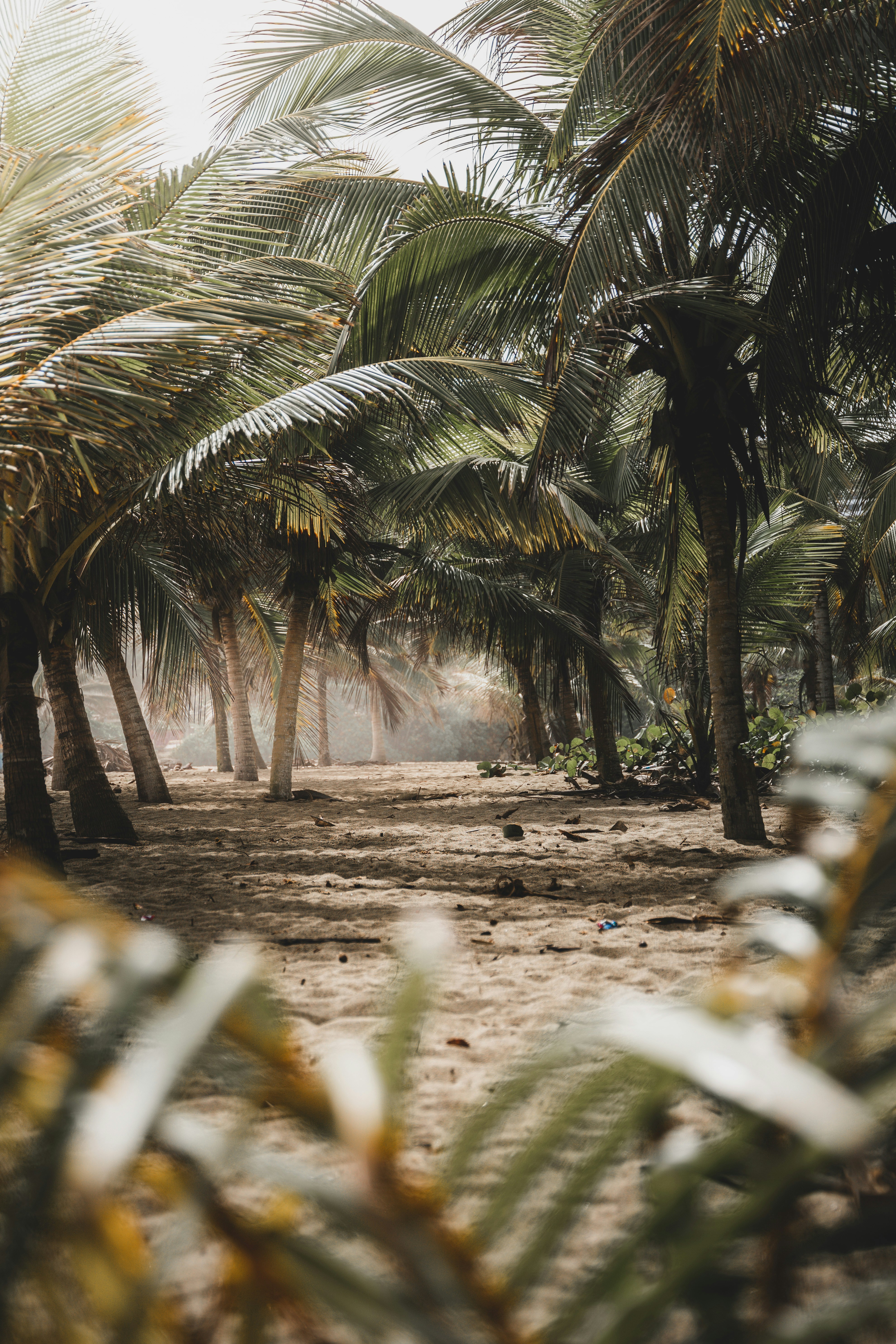 Photo by sandbarproductions