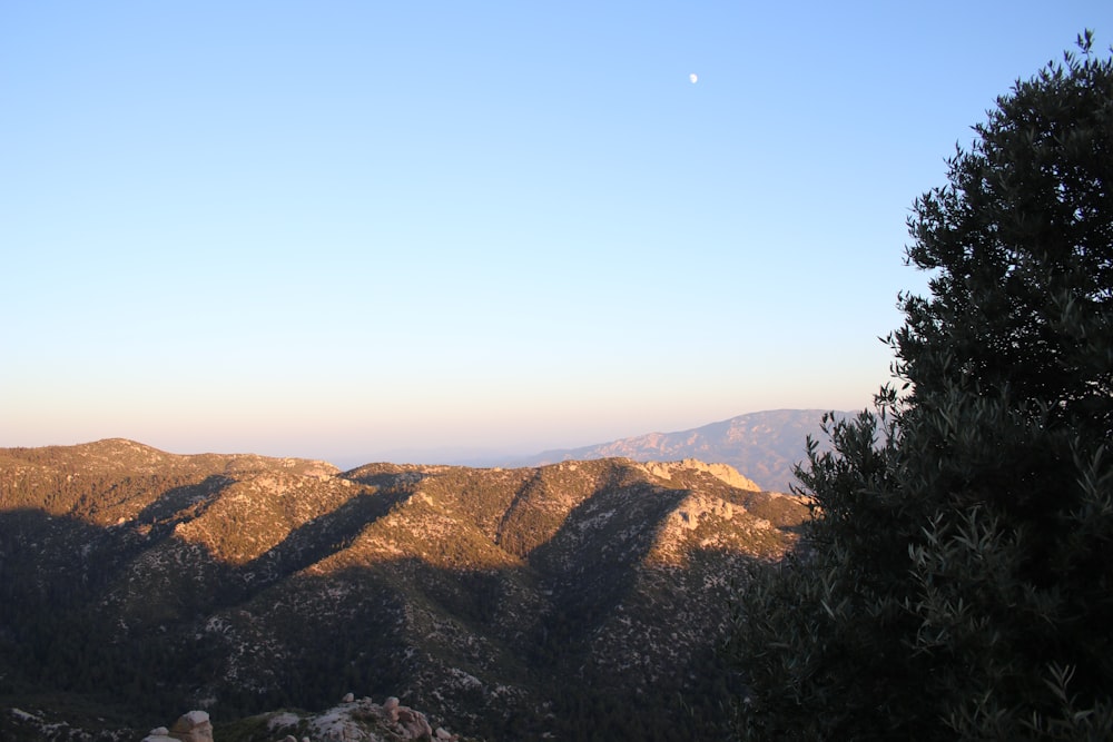 green trees on brown mountain under blue sky during daytime