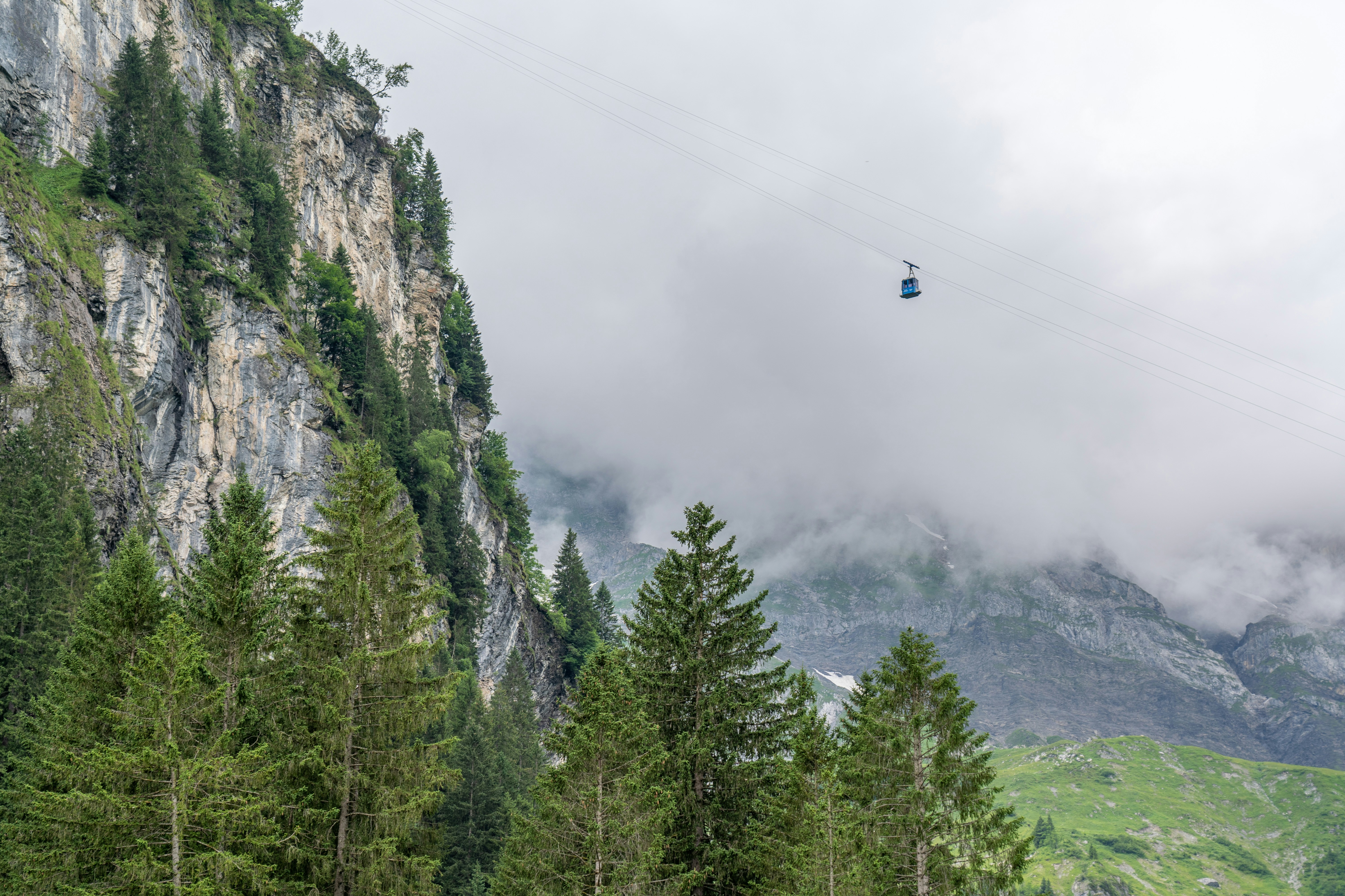 person riding cable car over green trees during daytime