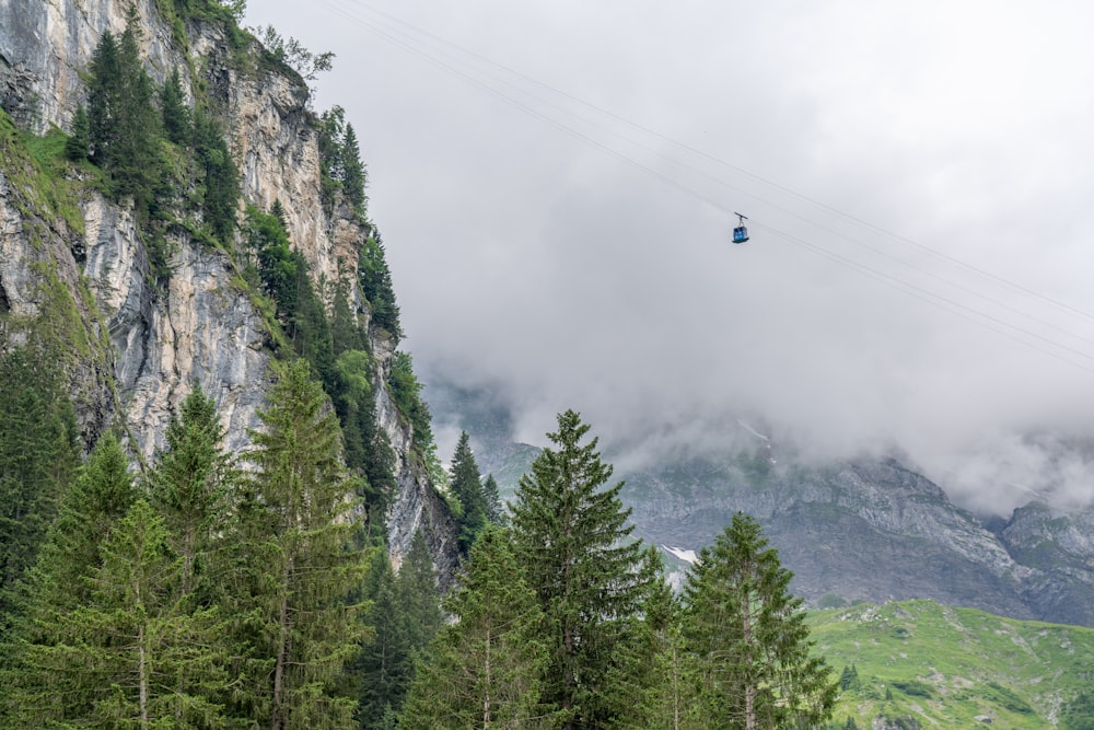 person riding cable car over green trees during daytime