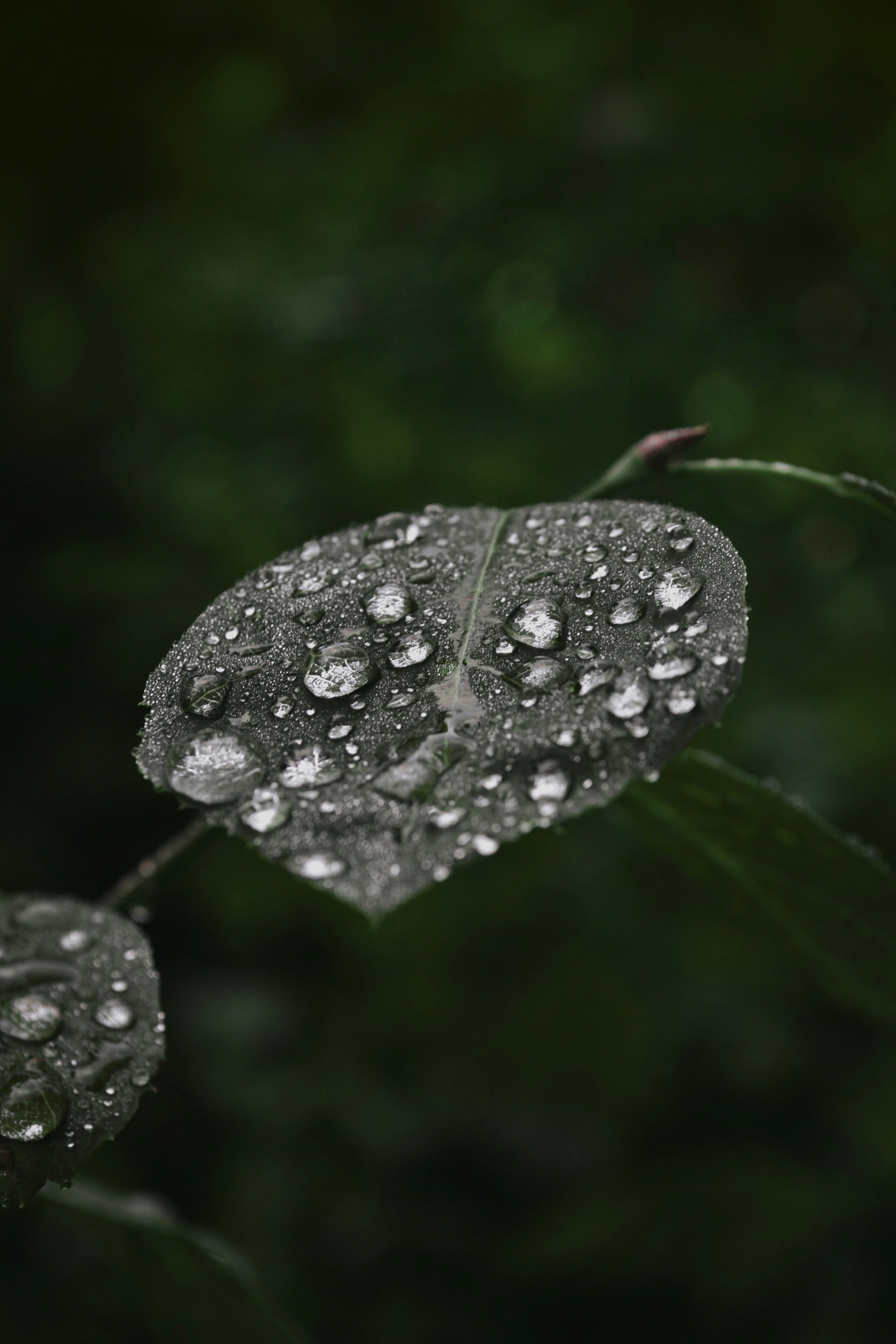 Photo by annijajansone