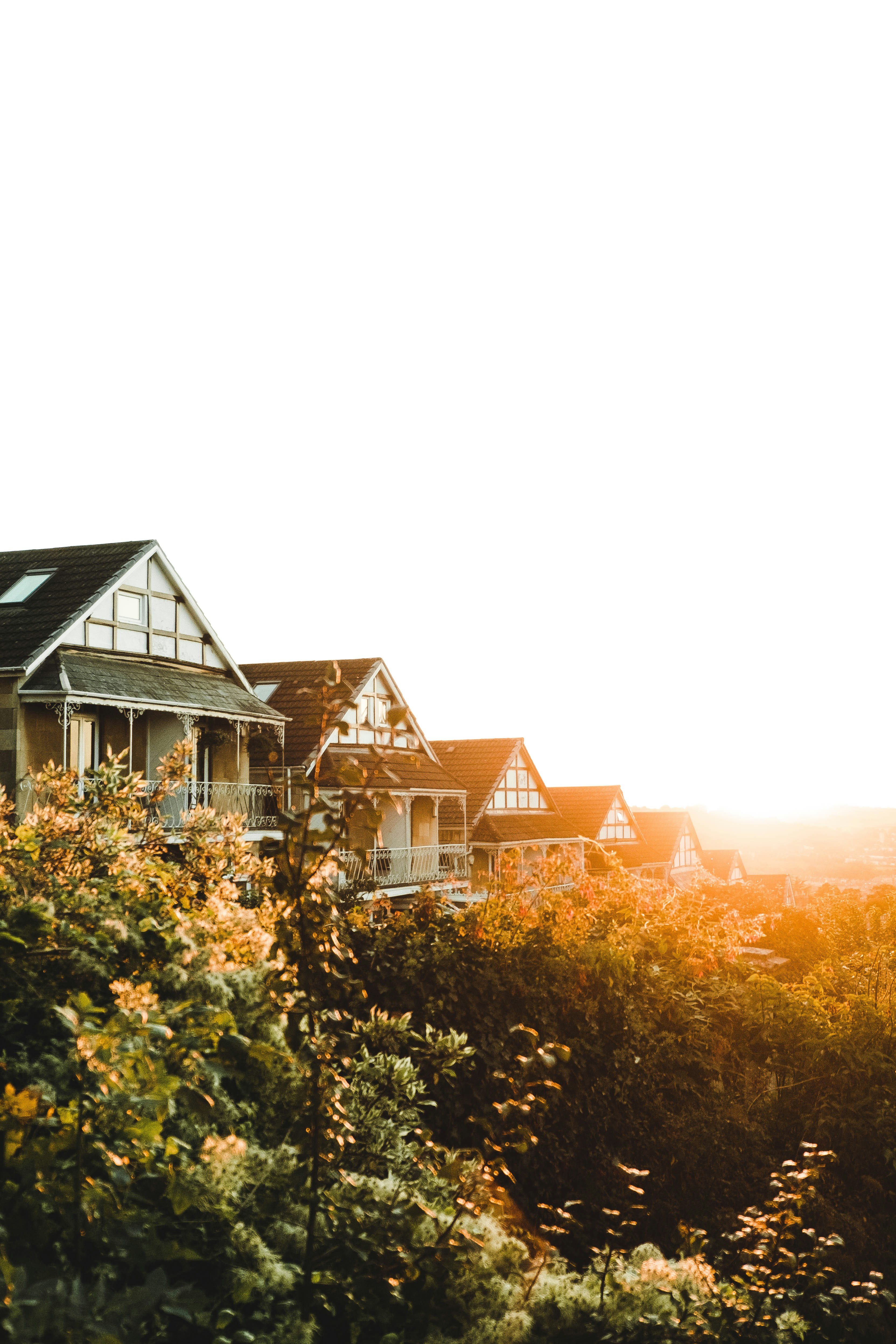 Solar Panel Installation | Energy West Solar Solutions's image