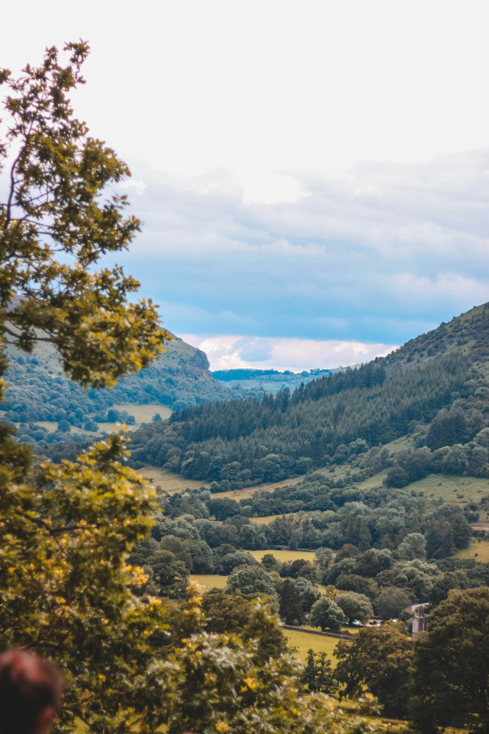 green trees on mountain under blue sky during daytime