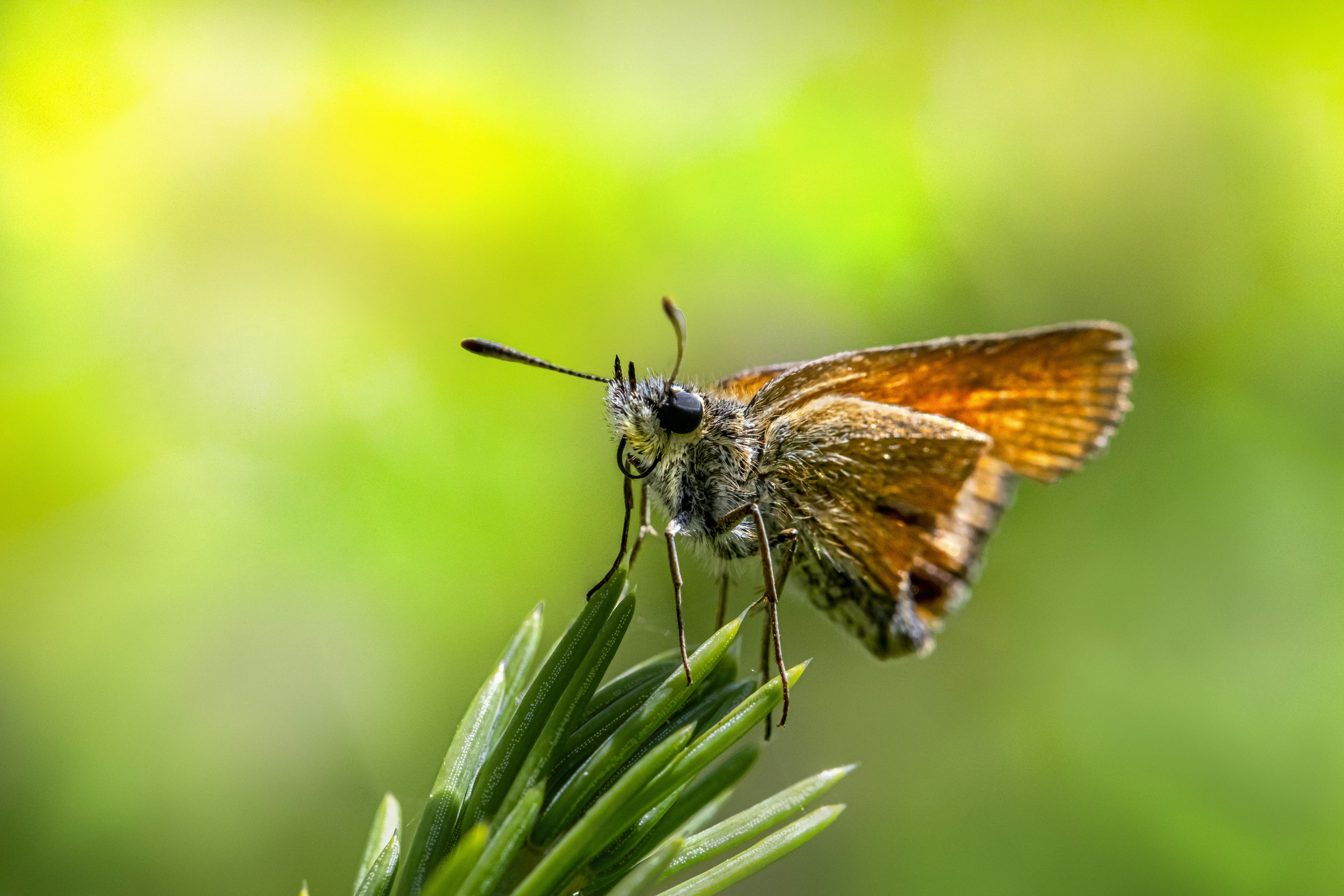 Photo by erik_karits