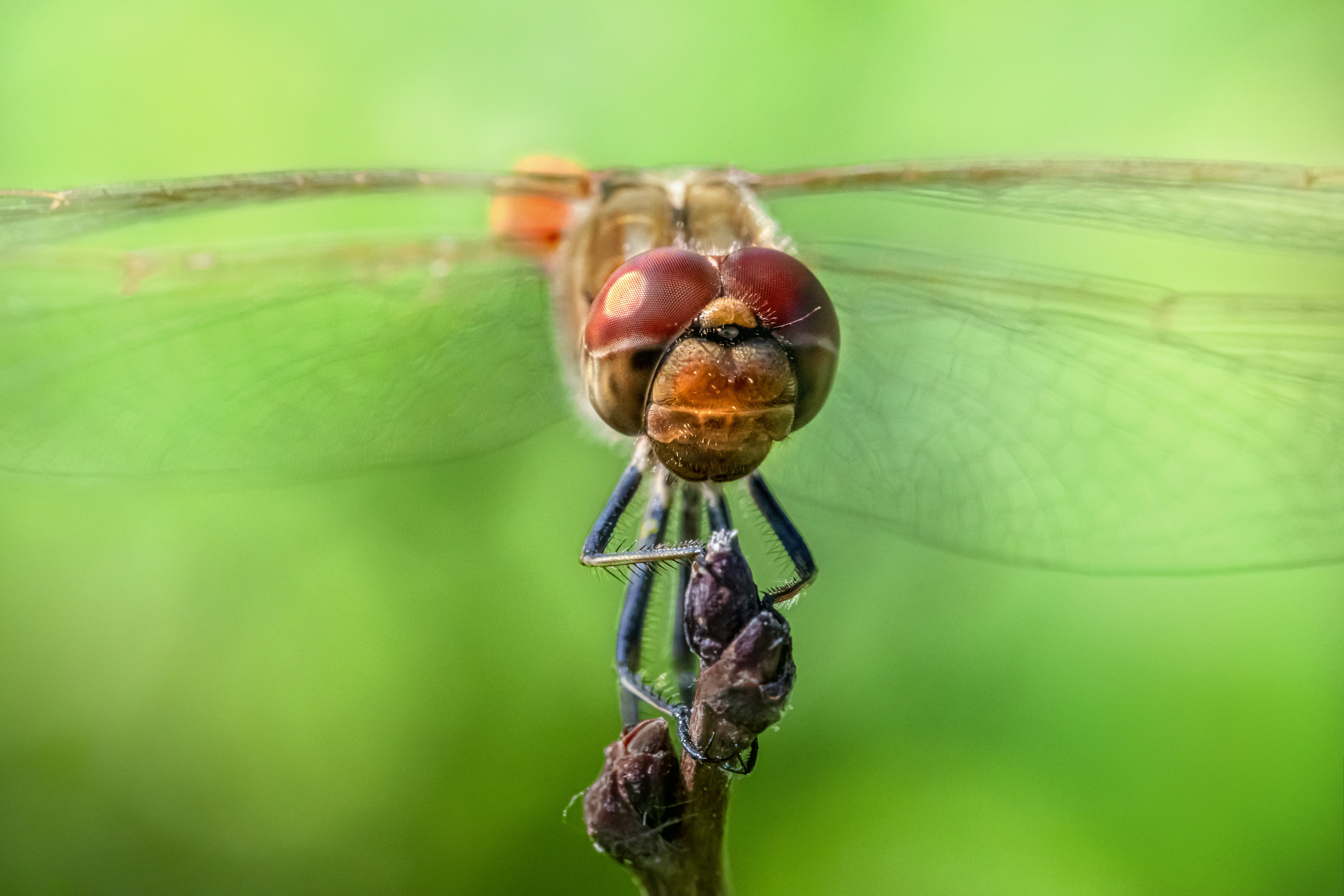 Photo by erik_karits