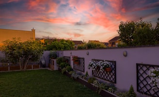 A tranquil backyard garden with a lush green lawn is bordered by a low wall adorned with trellises and hanging flower pots. Vibrant flowers add color to the scene. Trees and bushes line the edge, while houses in the background are silhouetted against a stunning sunset sky filled with pink and orange clouds.