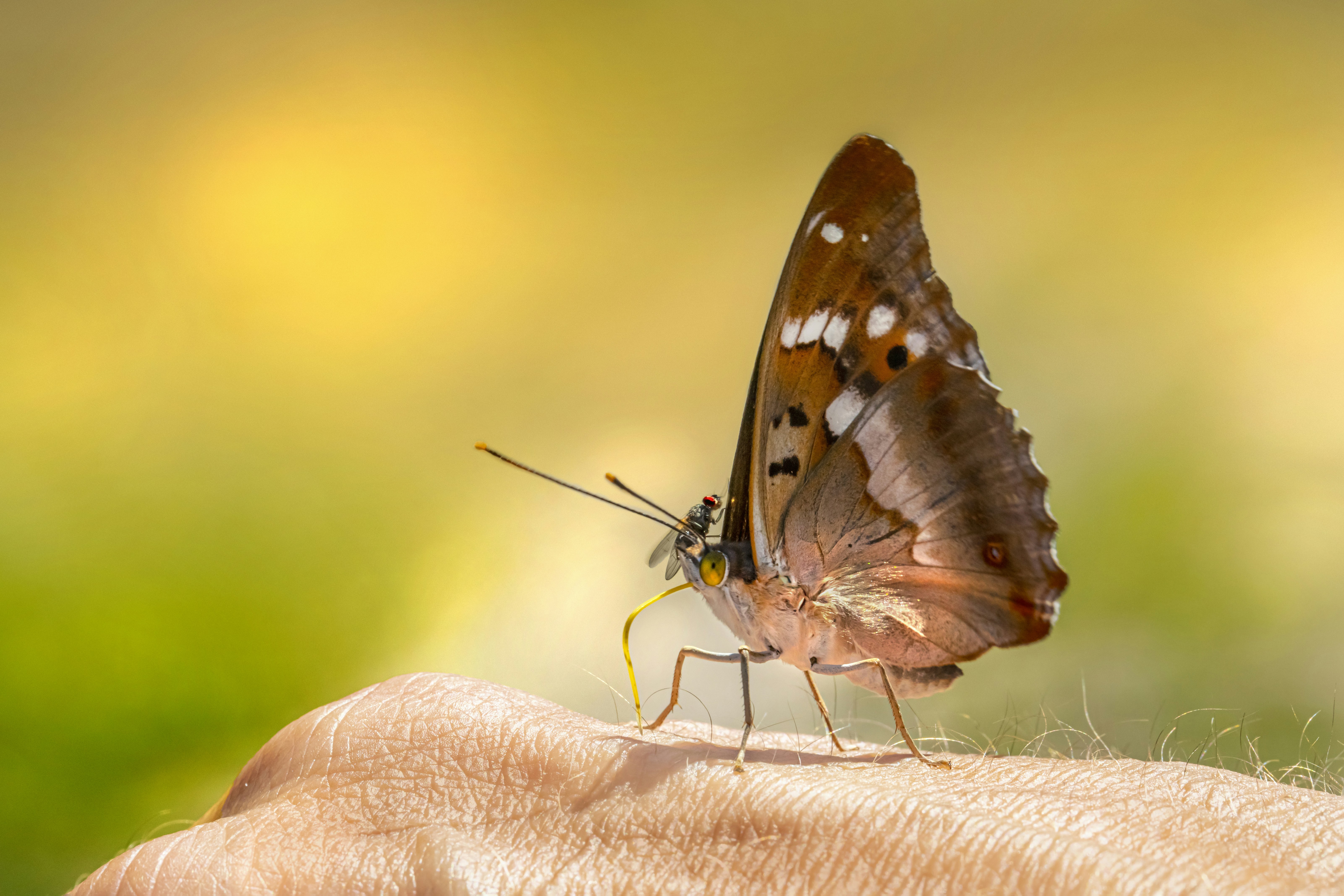 Photo by erik_karits