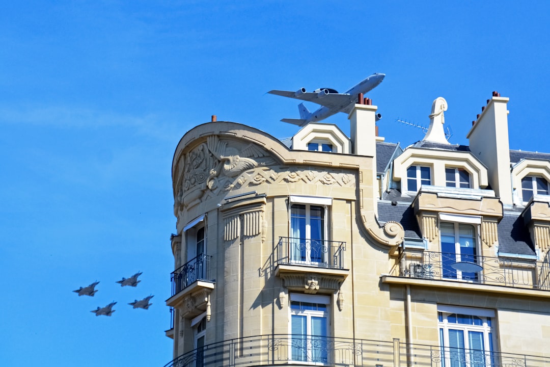 birds flying over the building during daytime