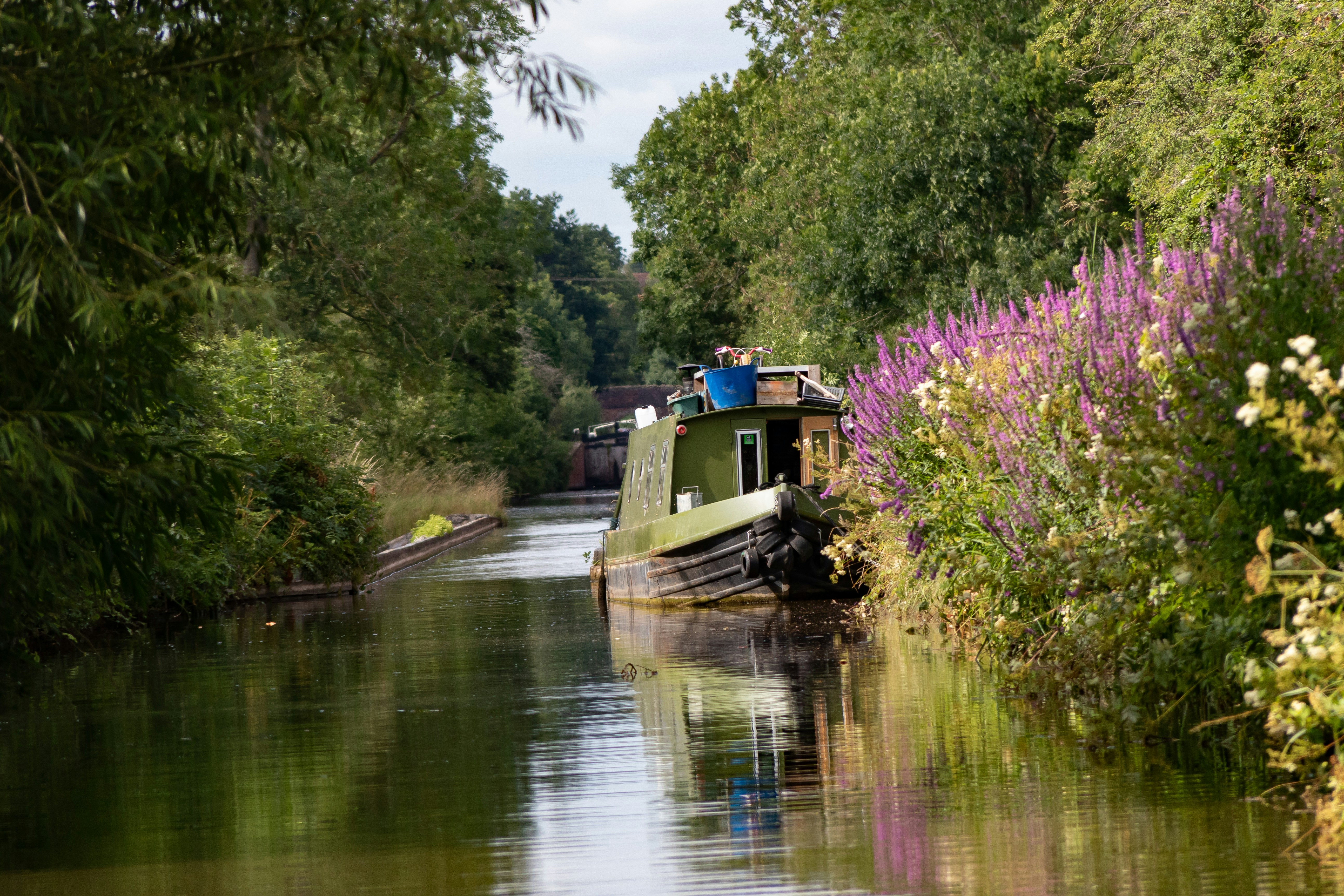white and blue boat on river during daytime, 