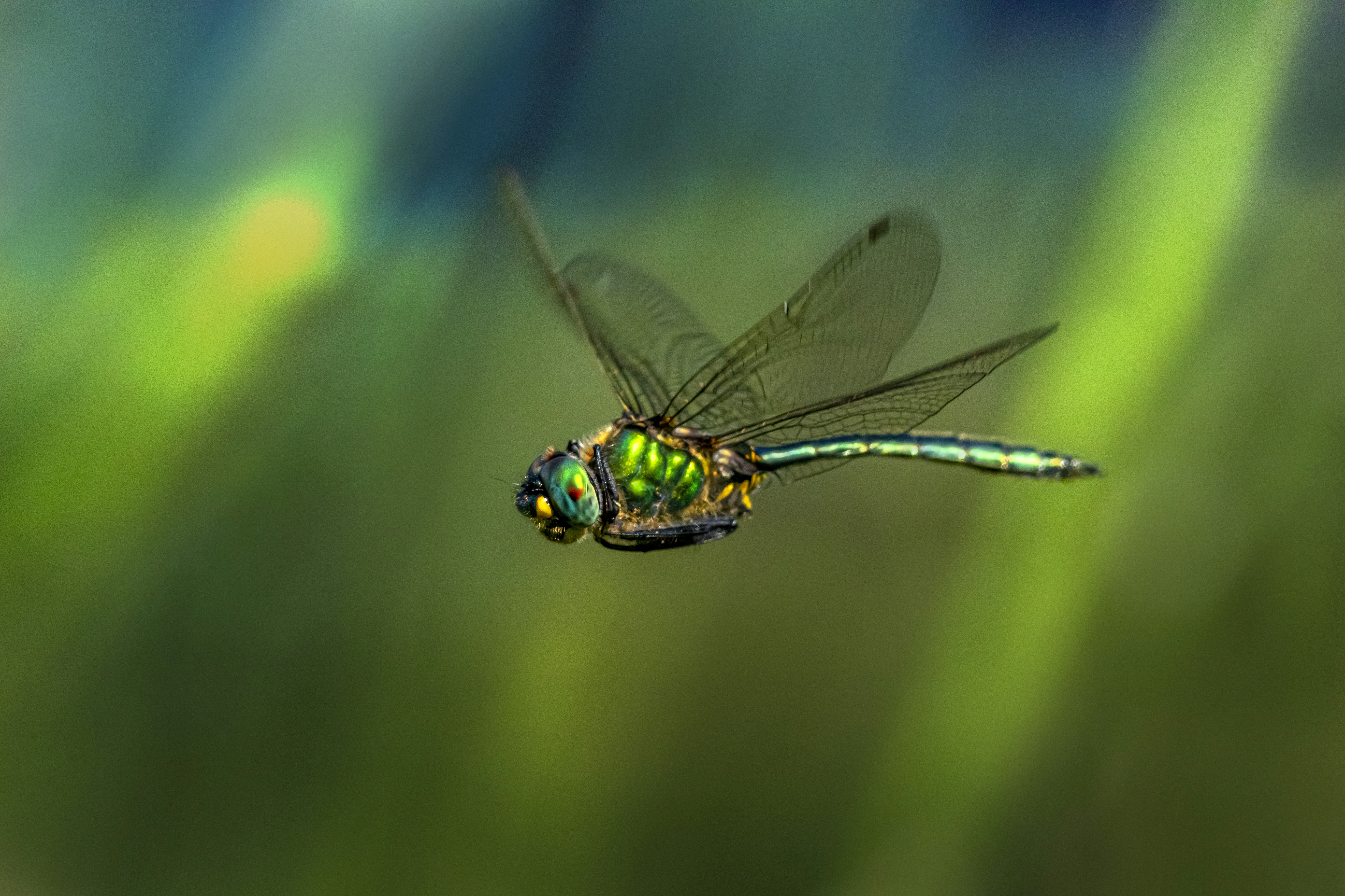 Photo by erik_karits