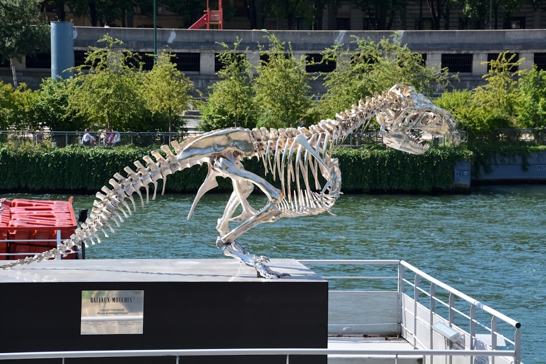 white and black dragon statue near body of water during daytime