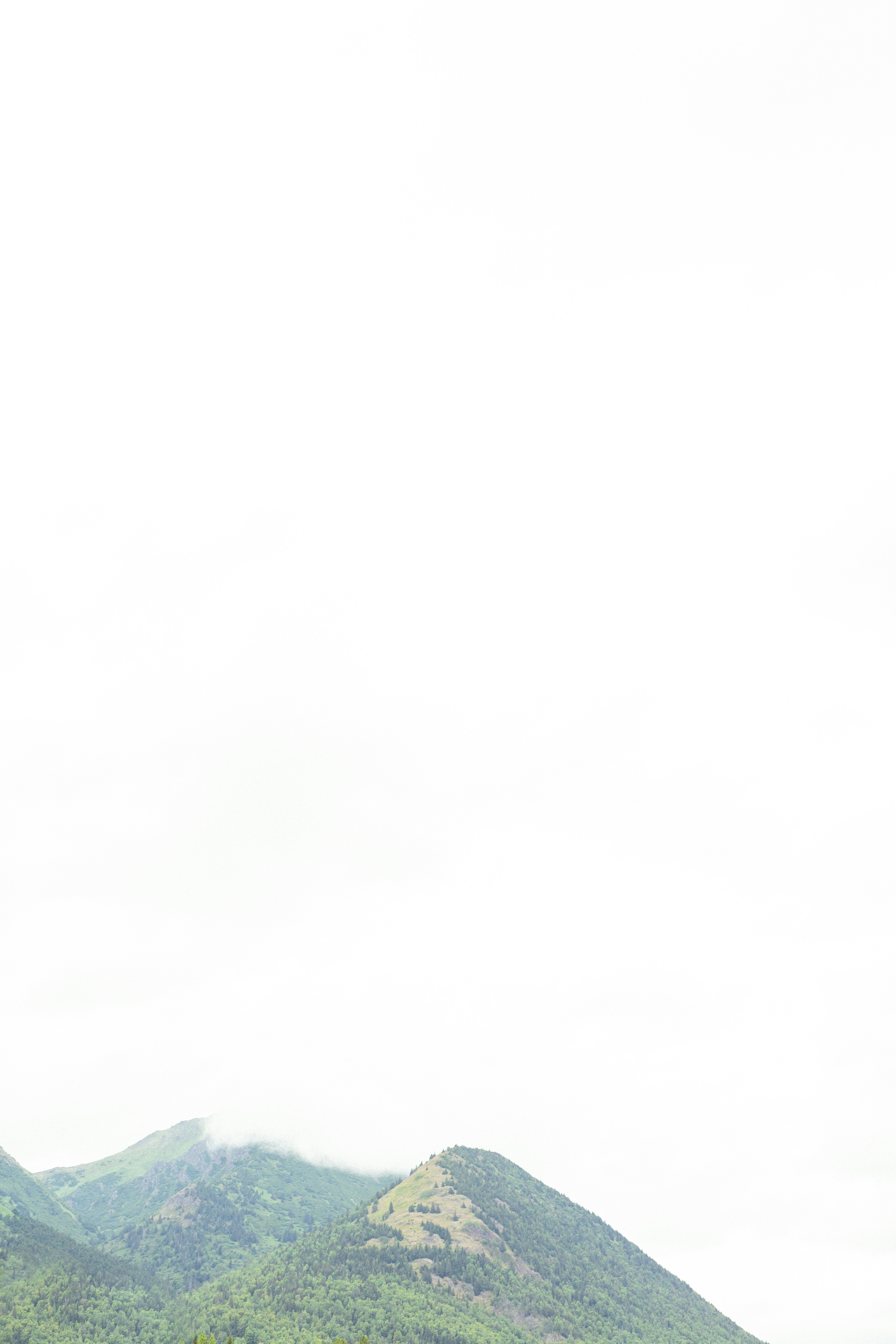 Photo by angelaleshch