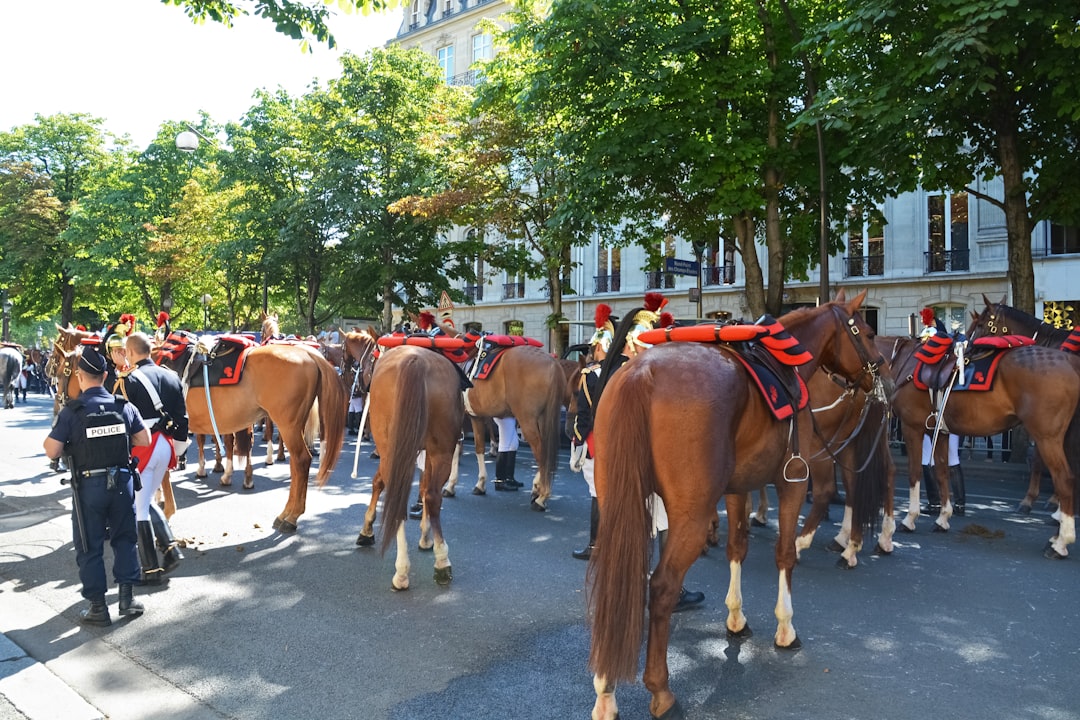 people riding horses on road during daytime