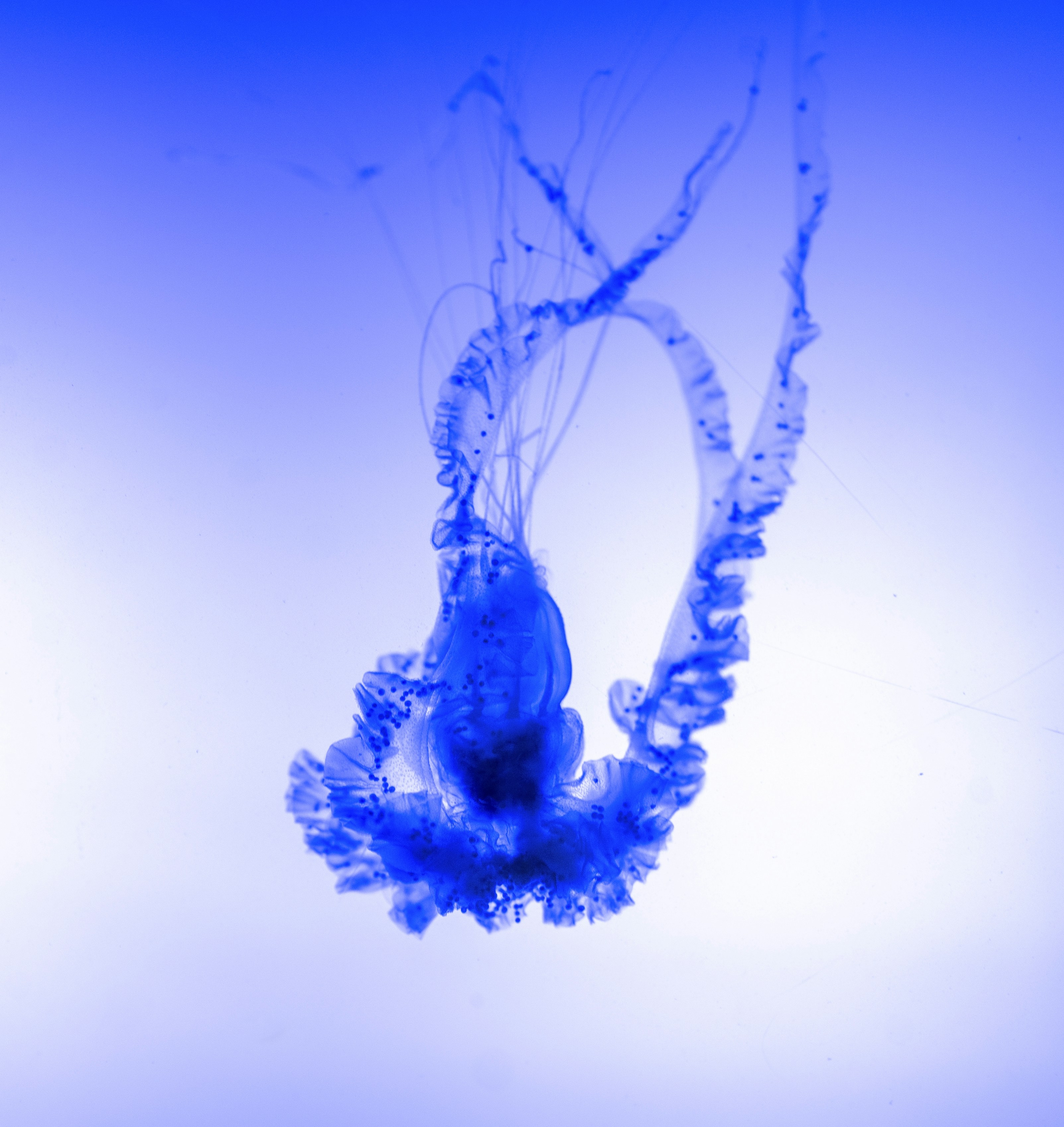 The Lever of Change: Setting Emission Reduction Targets with