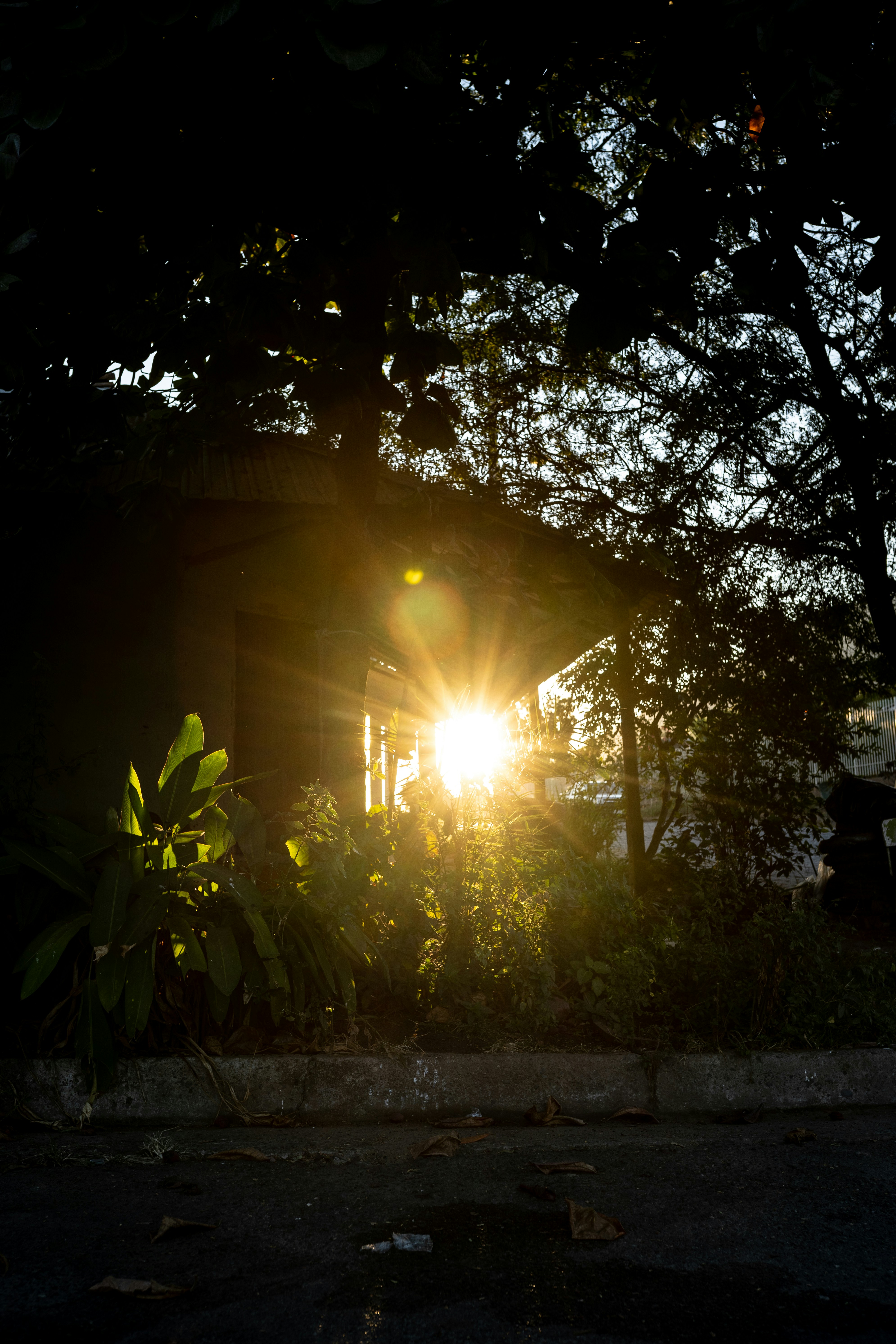 Photo by rafaidrovofoto