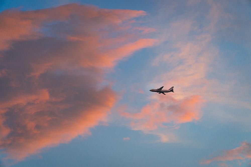 black bird flying under orange clouds