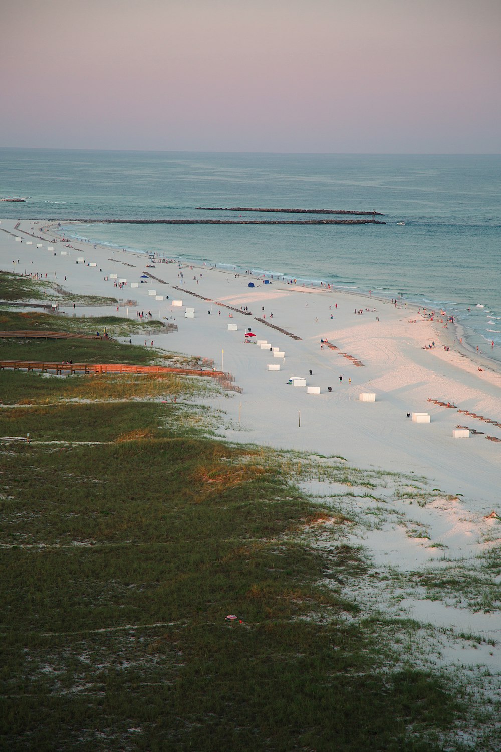 people on beach during daytime