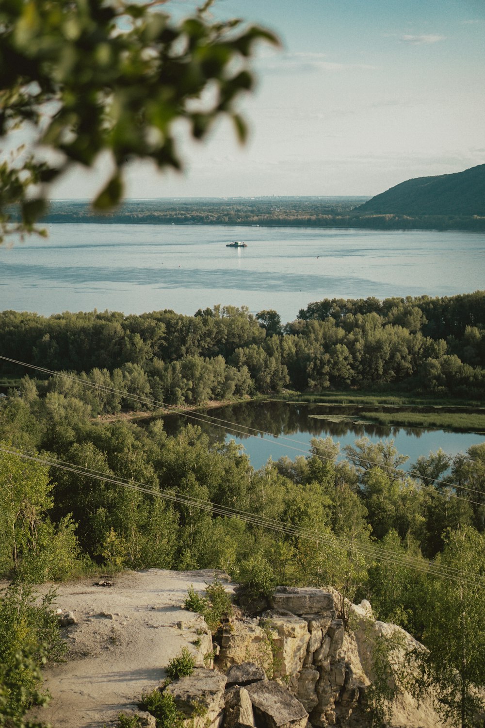 green trees near body of water during daytime