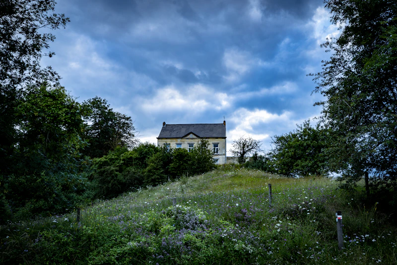 Best Eco-Friendly Resorts and Sustainable Stays in Maastricht