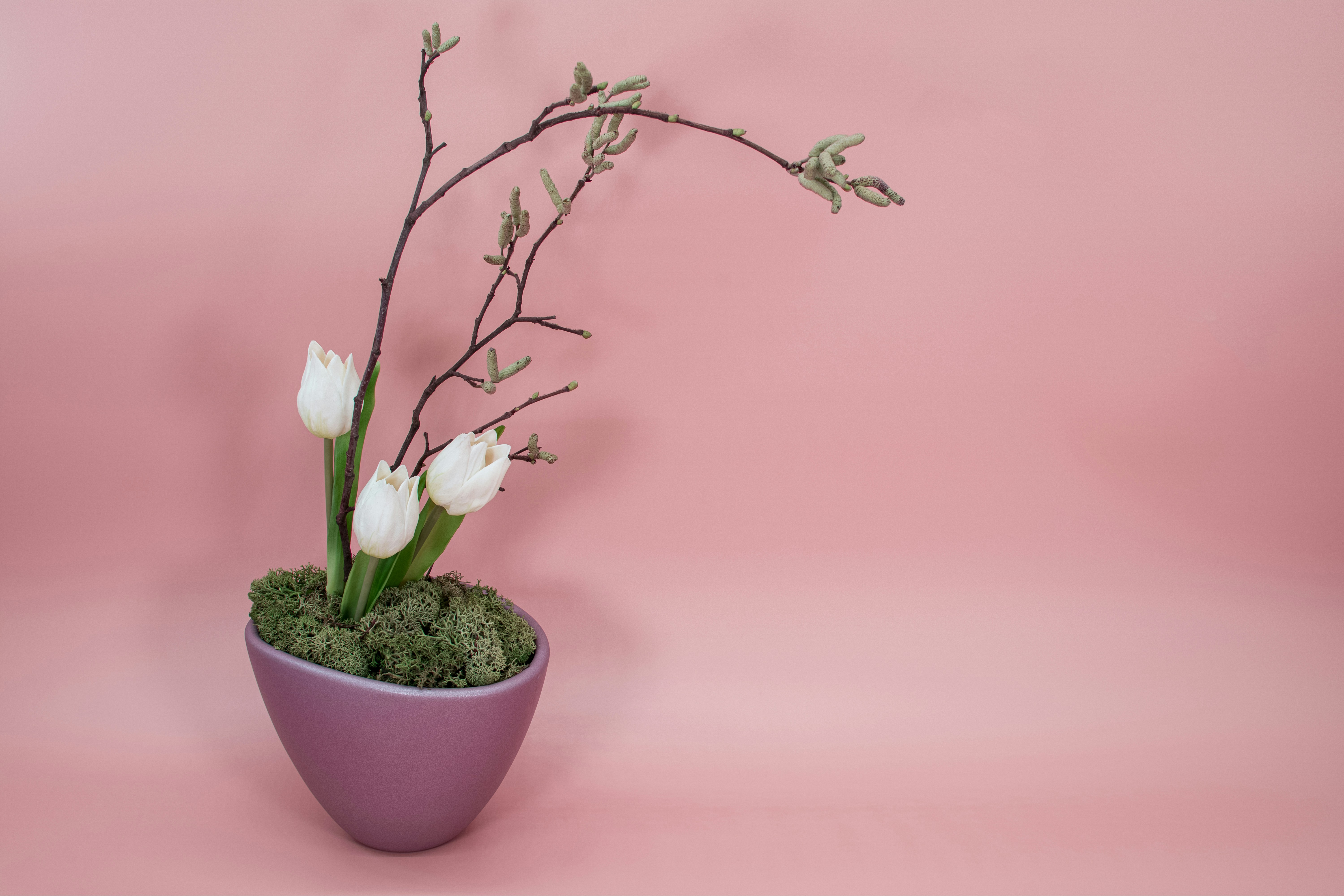white flowers on white ceramic pot