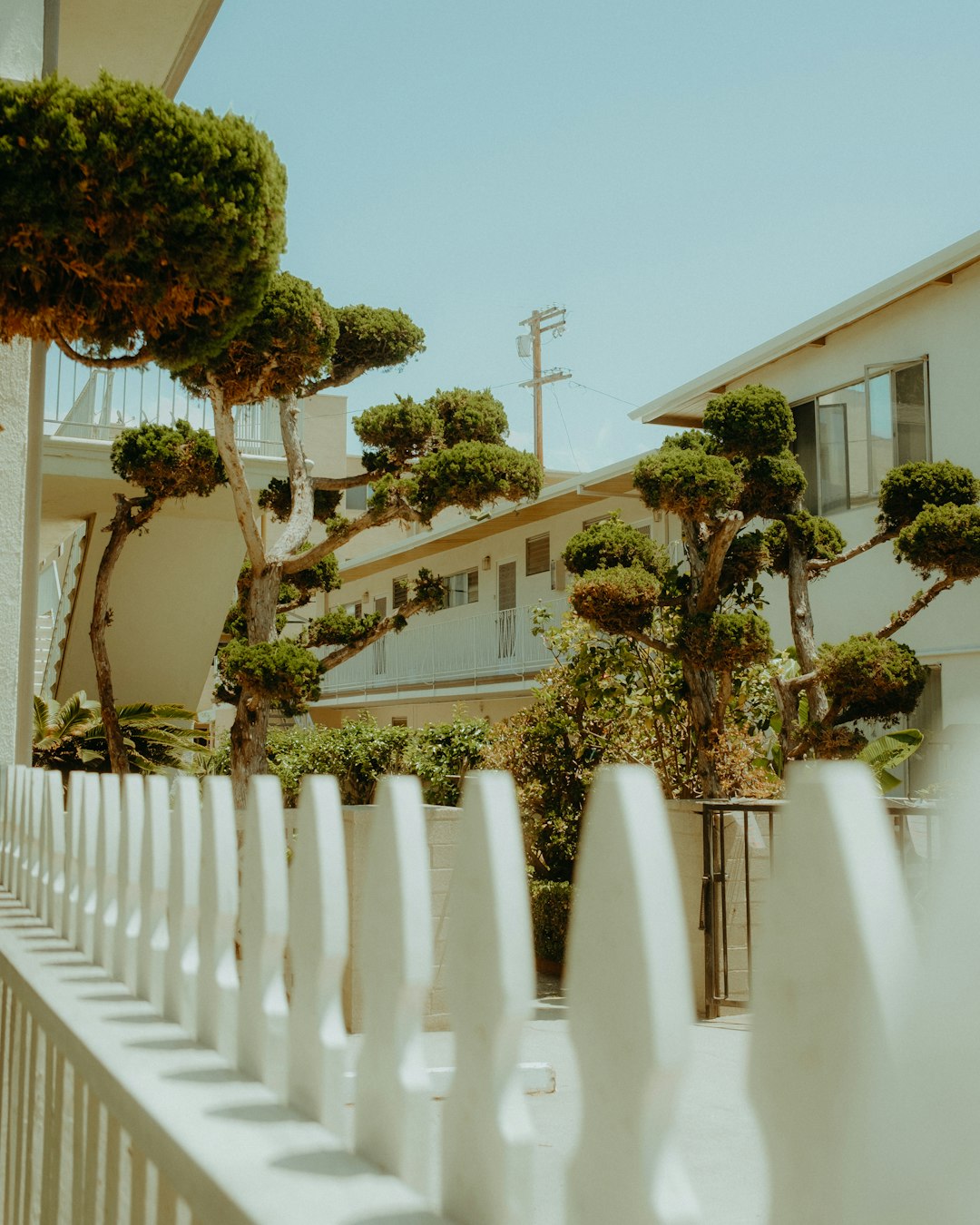 white wooden fence near green trees during daytime