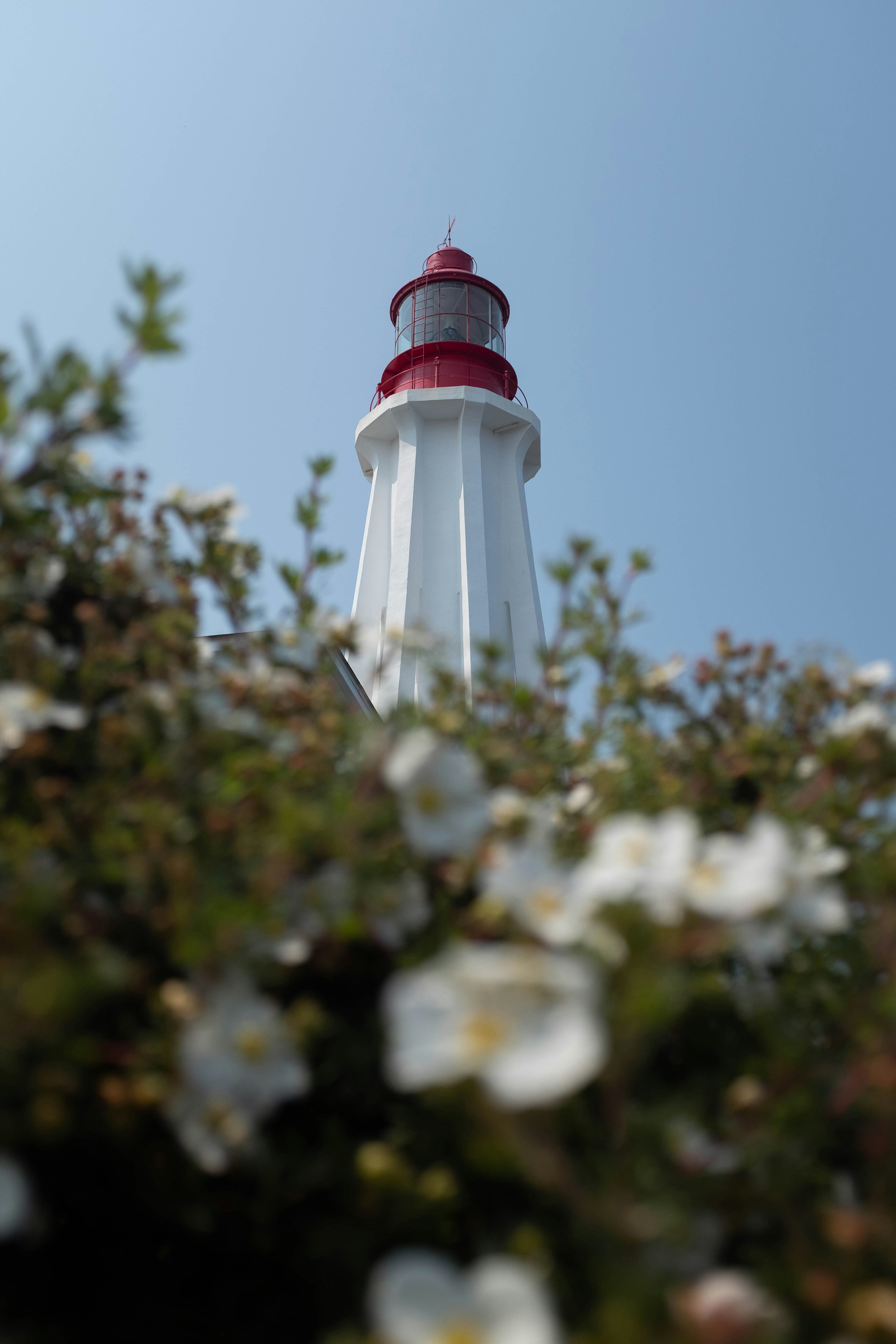 red and white light bulb