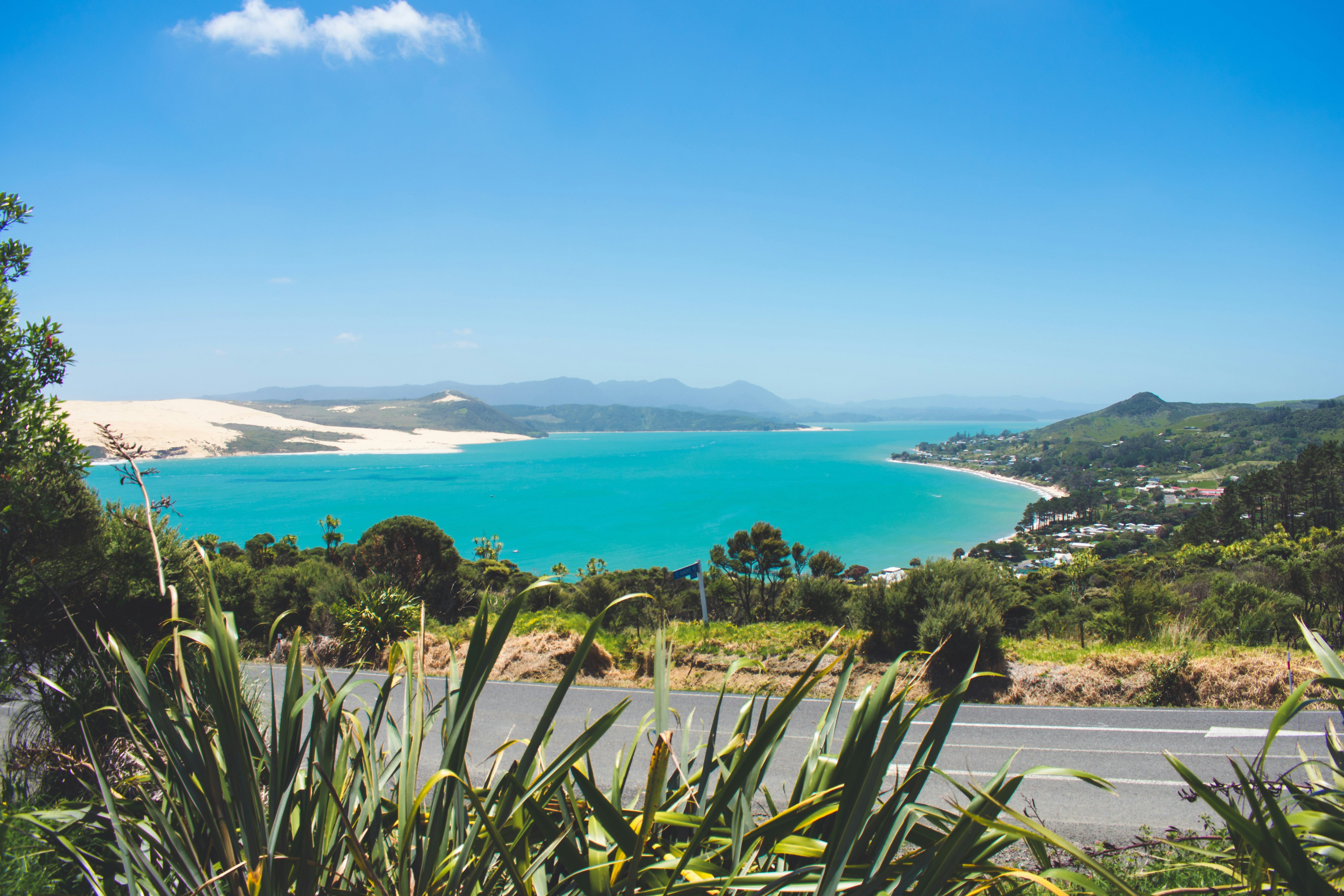 Photo by j_harris_391