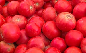 Ripe Tomatoes