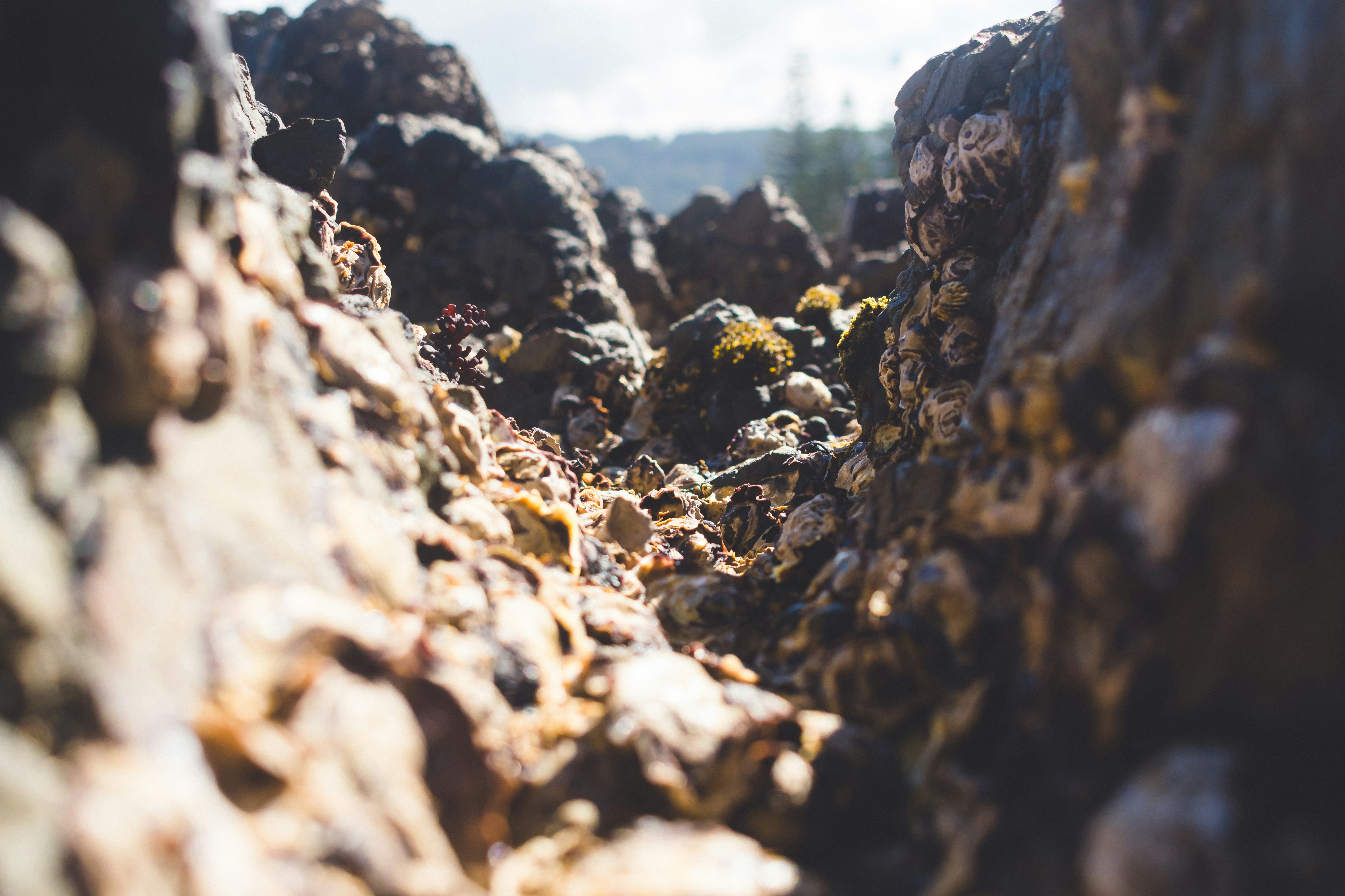 Photo by j_harris_391