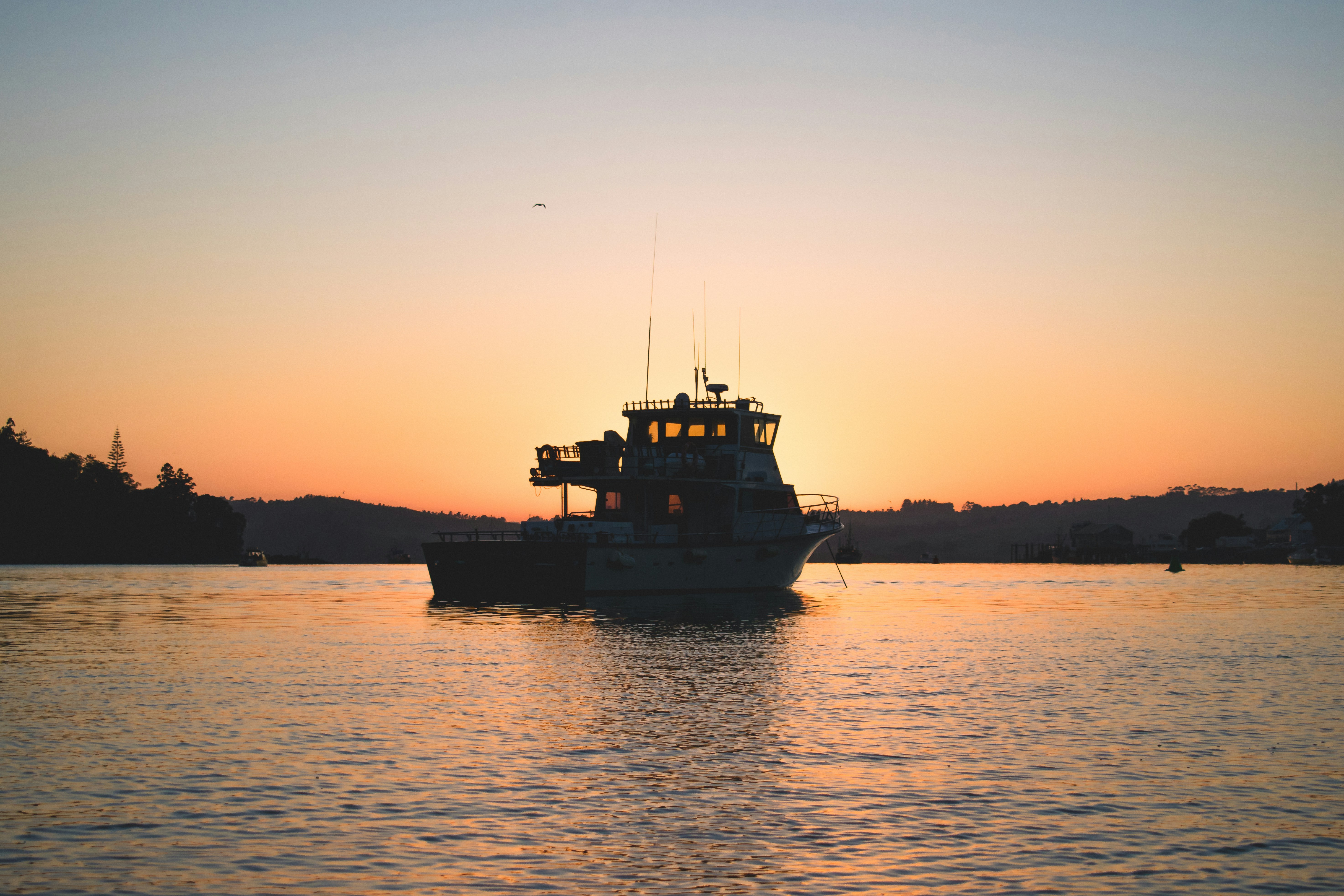 Photo by j_harris_391