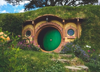 green and brown tunnel surrounded by green trees during daytime