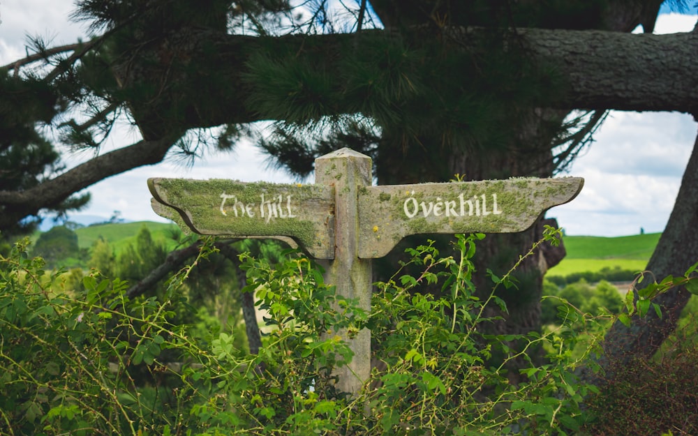 brown wooden cross surrounded by green plants