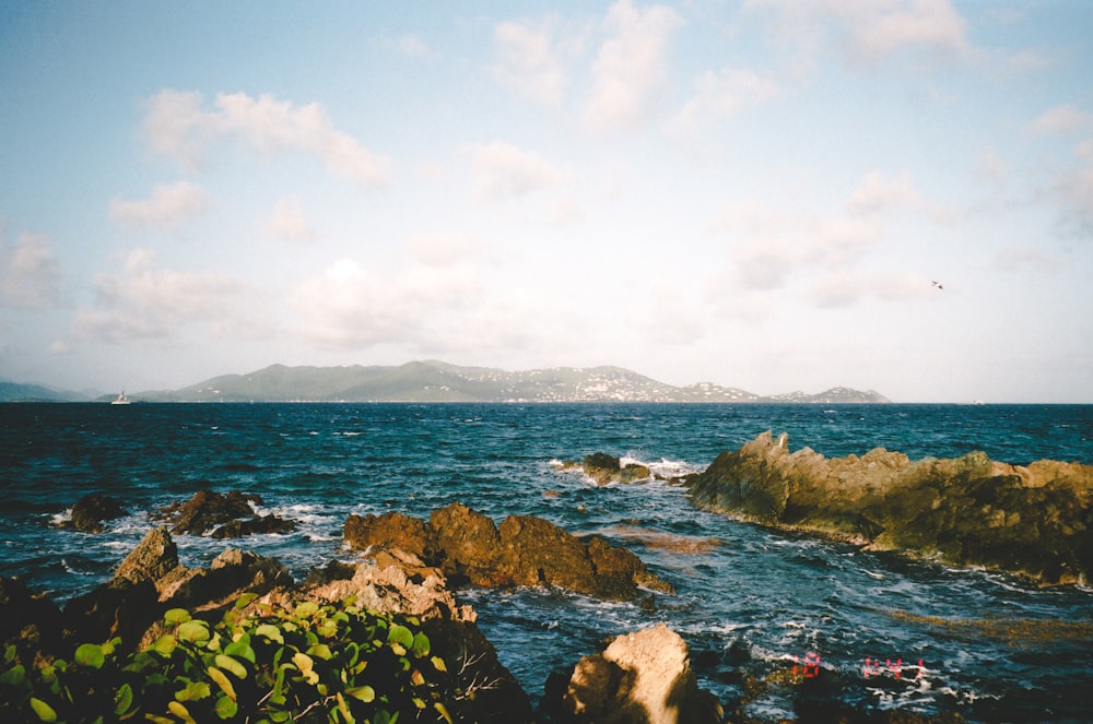 costa rocosa con musgo verde y agua de mar azul bajo nubes blancas y cielo azul durante