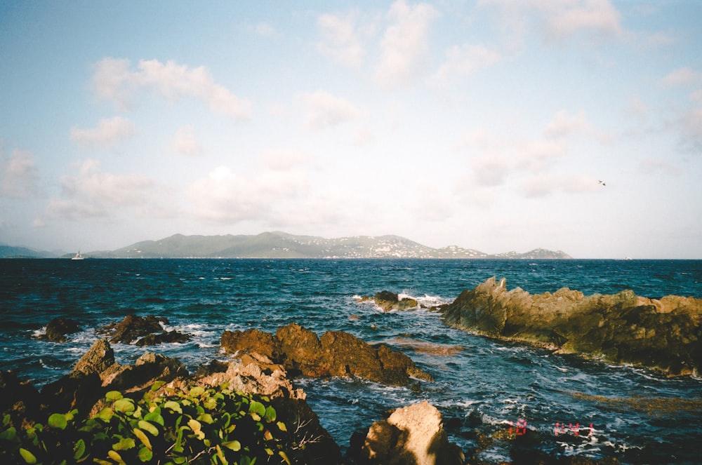 rocky shore with green moss and blue sea water under white clouds and blue sky during