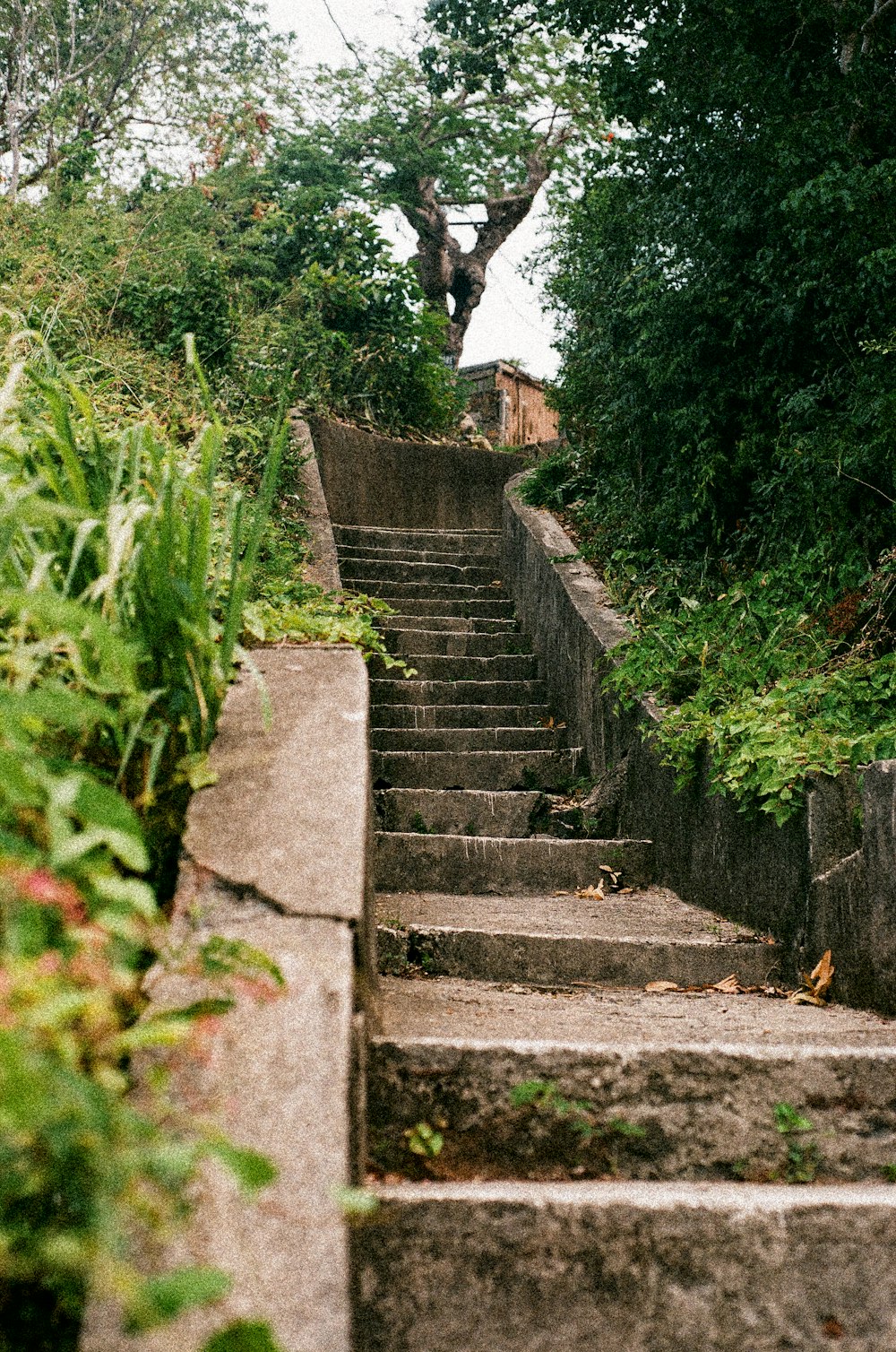 woman in white dress walking on gray concrete stairs