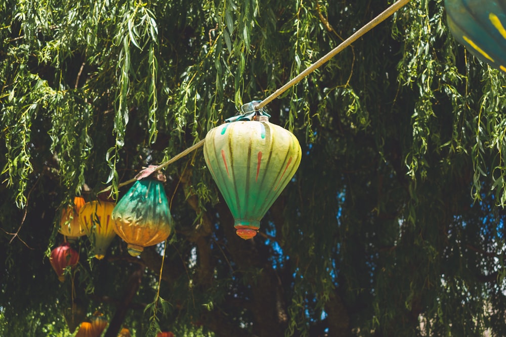 lanternes en papier jaune, bleu et rouge accrochées à un arbre vert pendant la journée