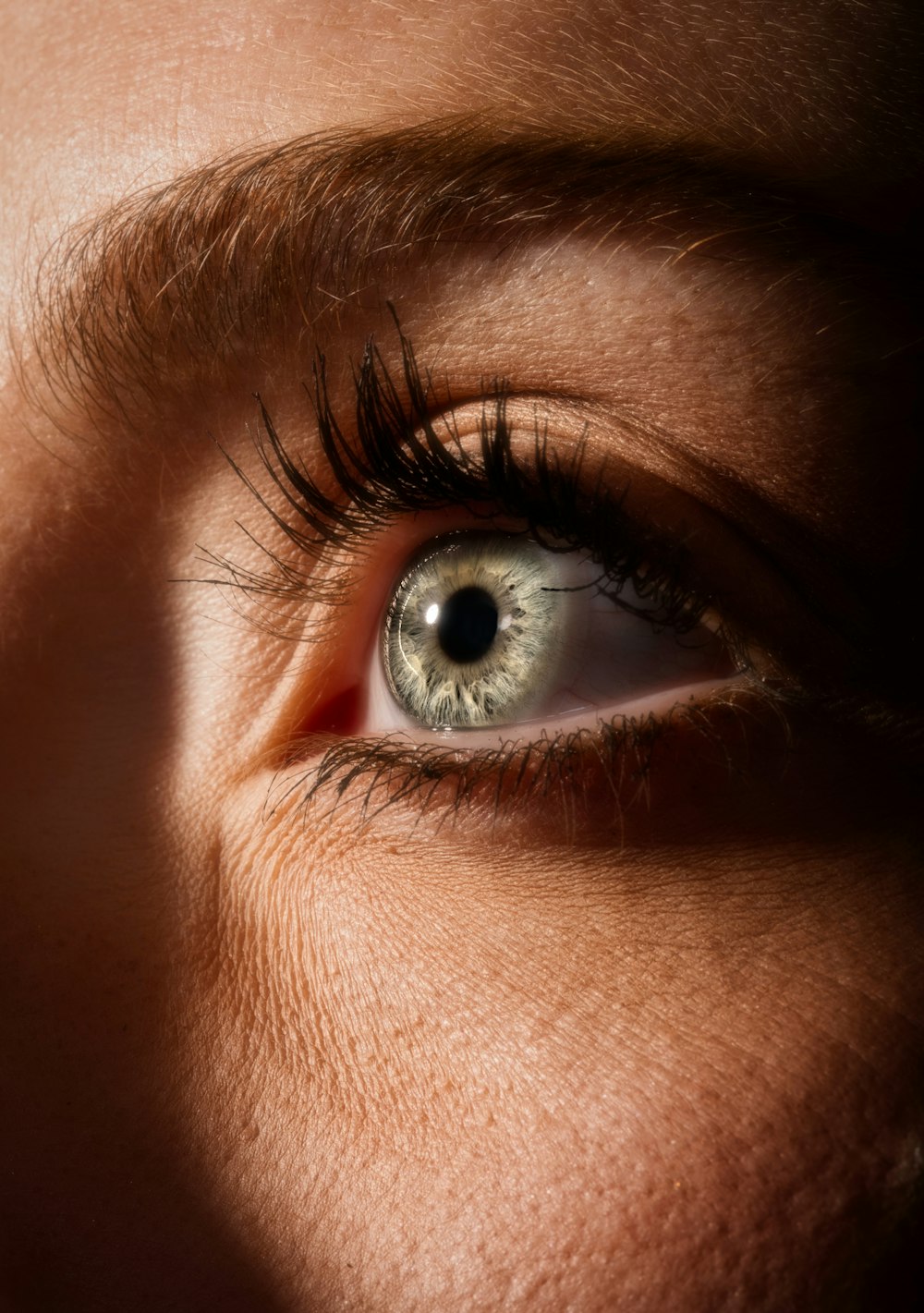 persons blue eyes in close up photography