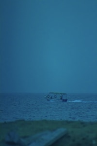 Wave Rider 300