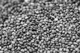 gray scale photo of green and black stones